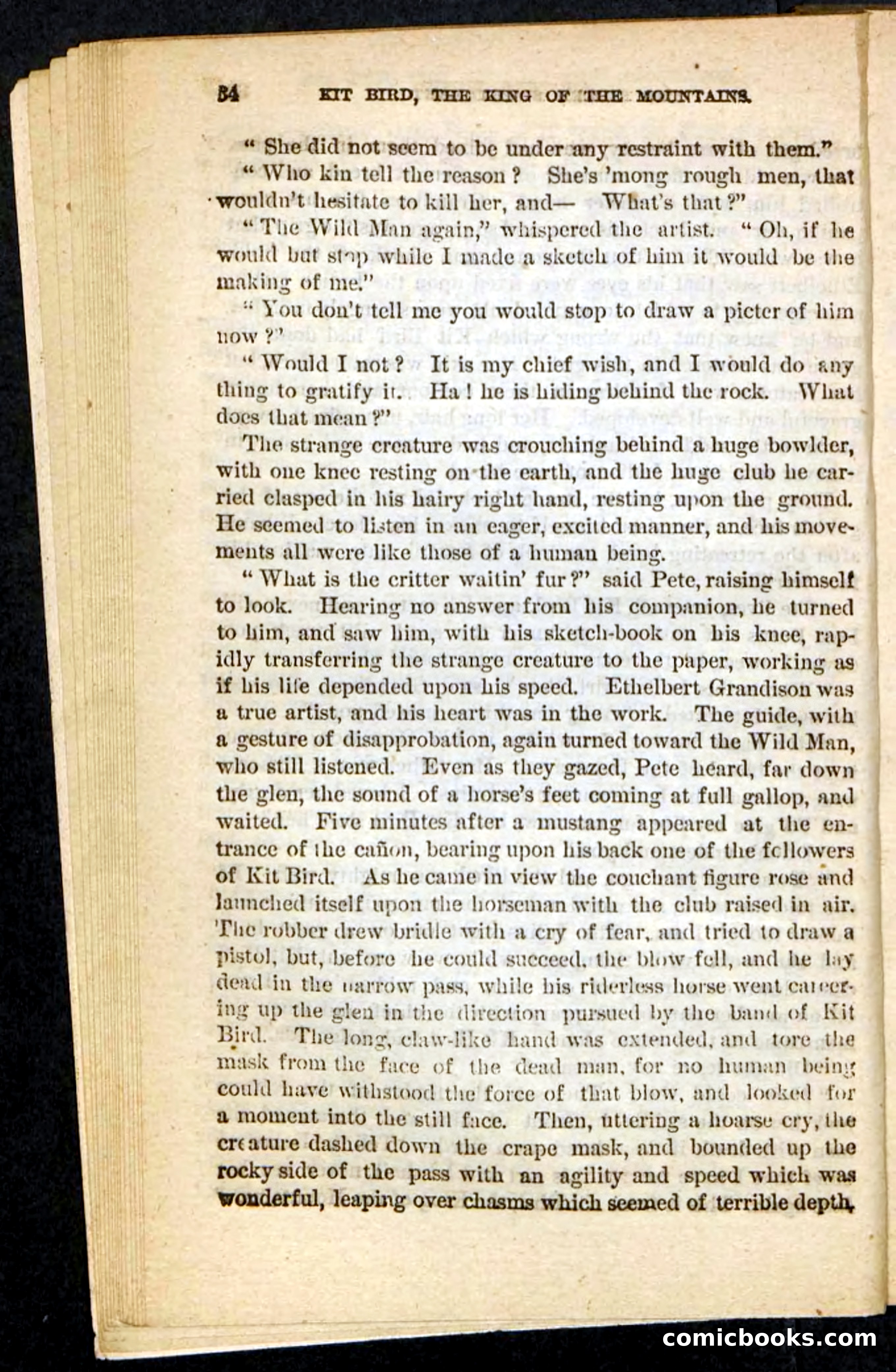 Kit Bird, Beadle's Pocket Novels No. 122 — page 30 of 100