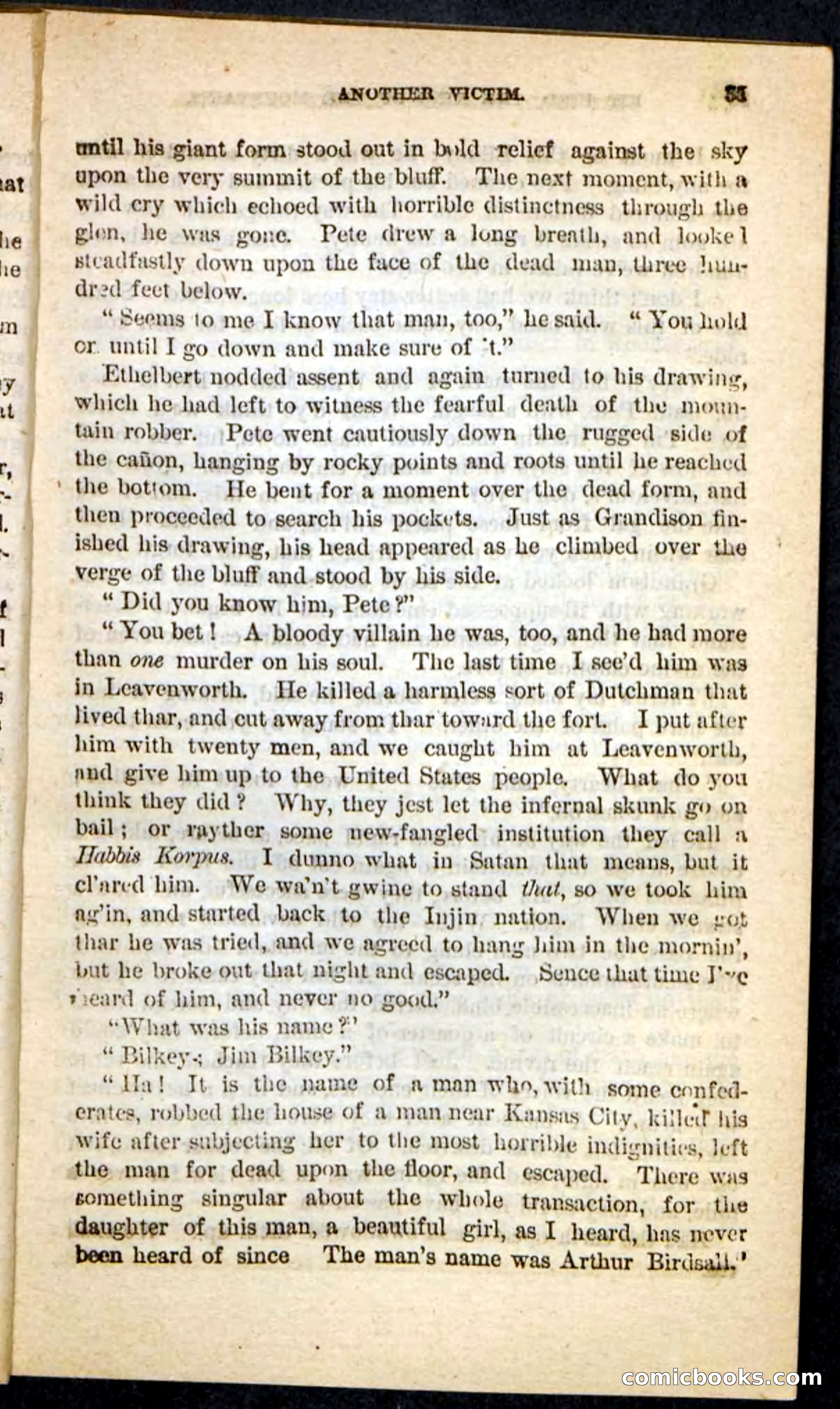 Kit Bird, Beadle's Pocket Novels No. 122 — page 31 of 100