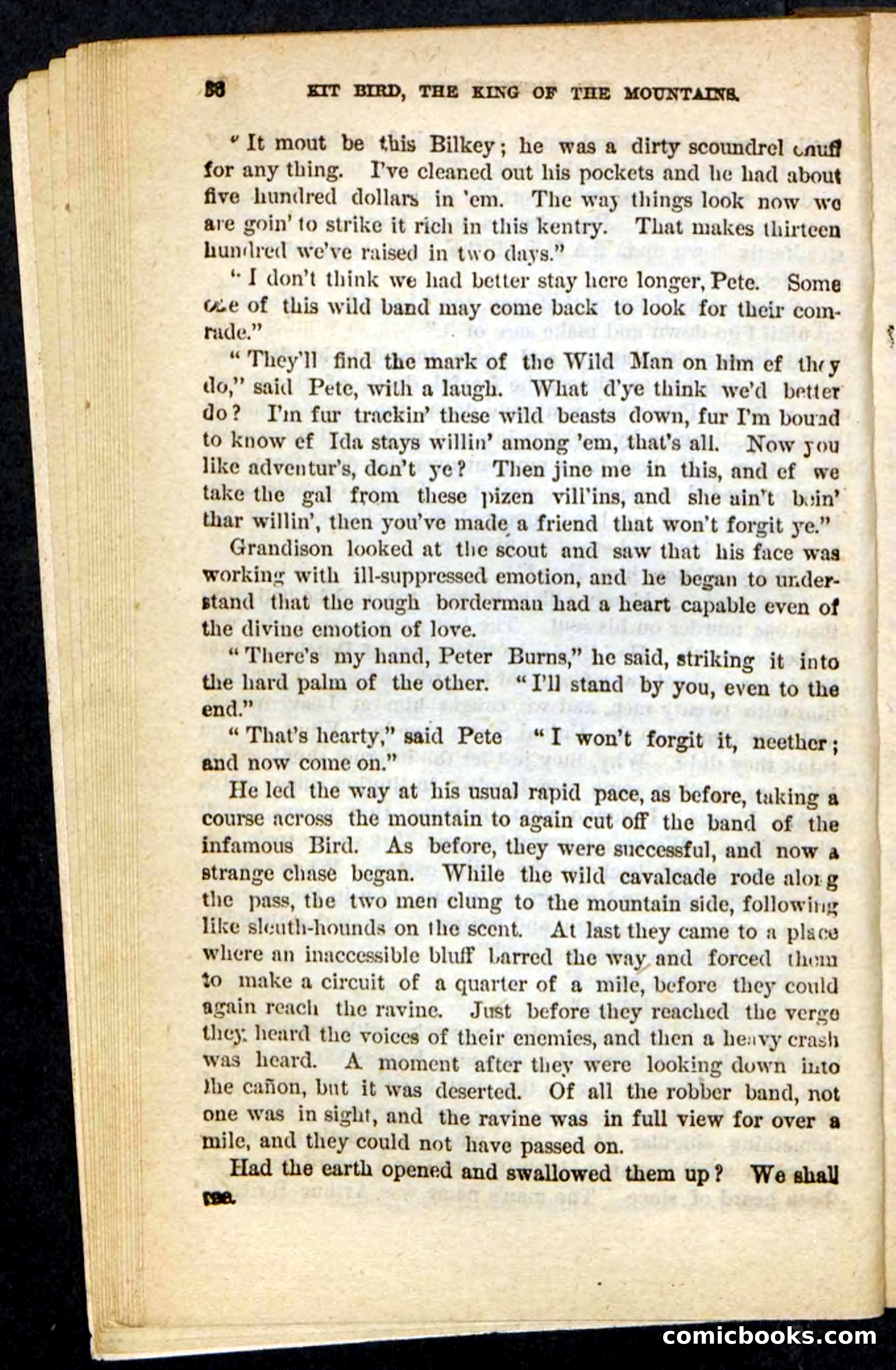 Kit Bird, Beadle's Pocket Novels No. 122 — page 32 of 100