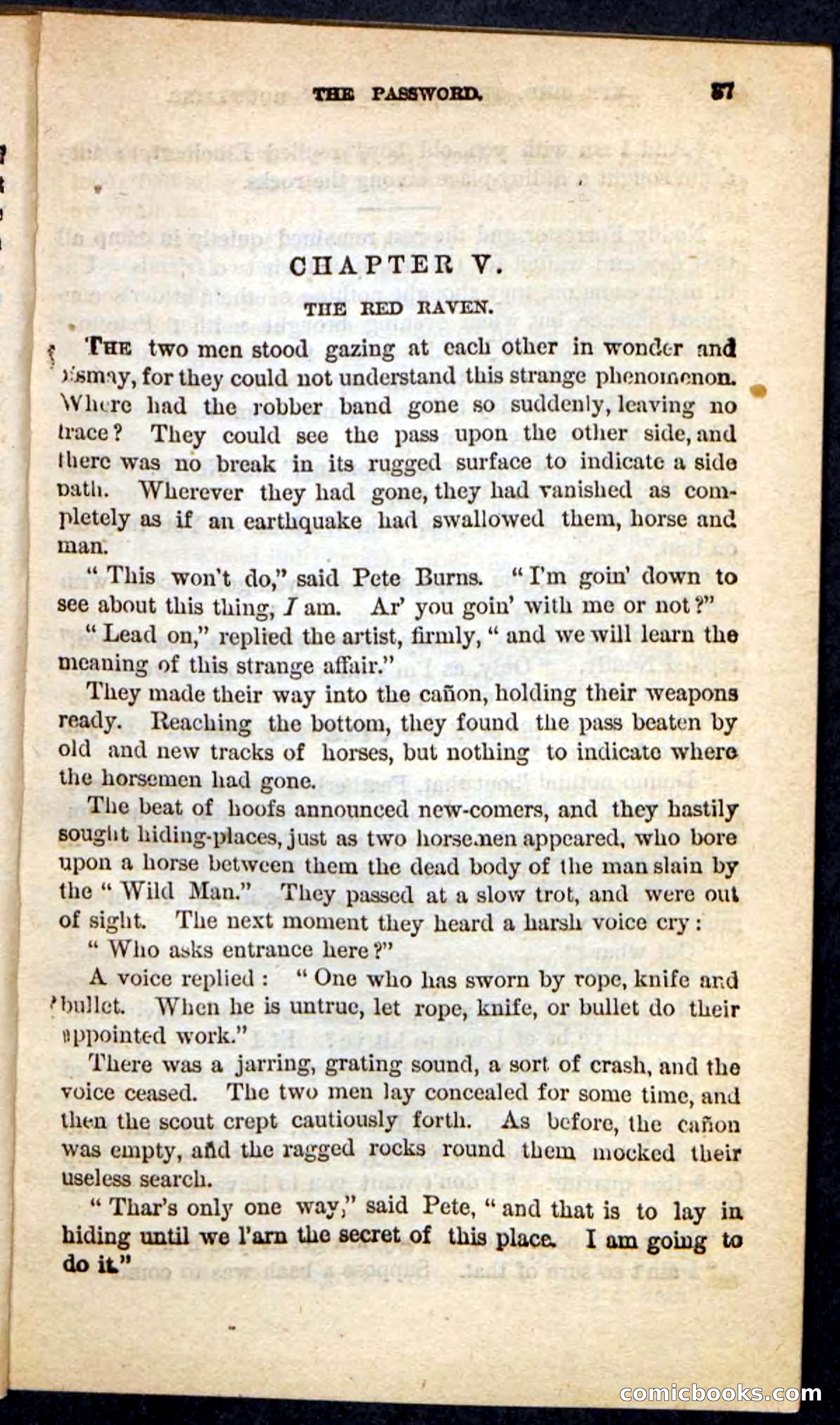 Kit Bird, Beadle's Pocket Novels No. 122 — page 33 of 100