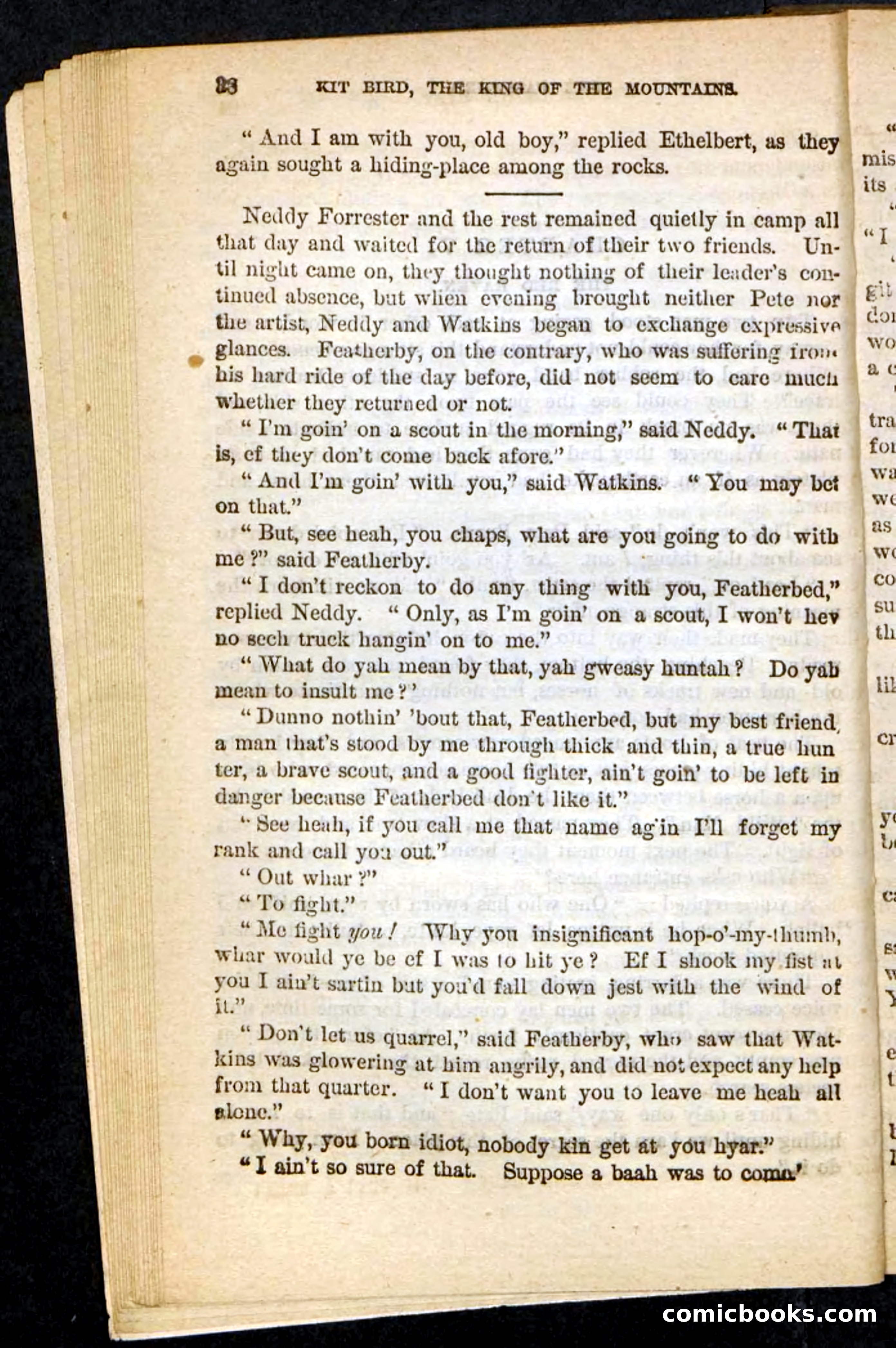 Kit Bird, Beadle's Pocket Novels No. 122 — page 34 of 100