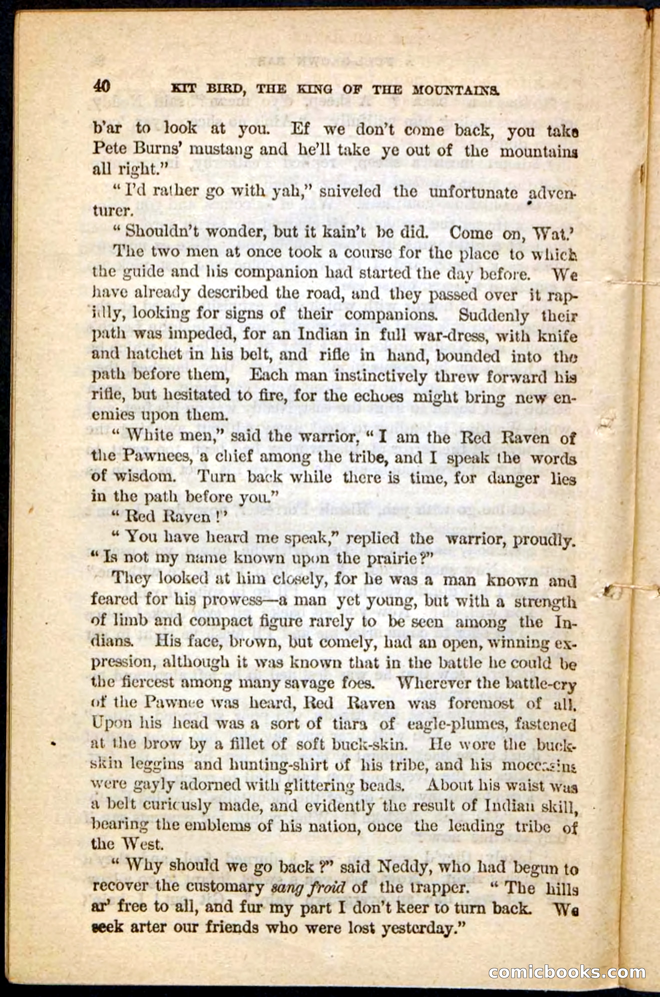 Kit Bird, Beadle's Pocket Novels No. 122 — page 36 of 100