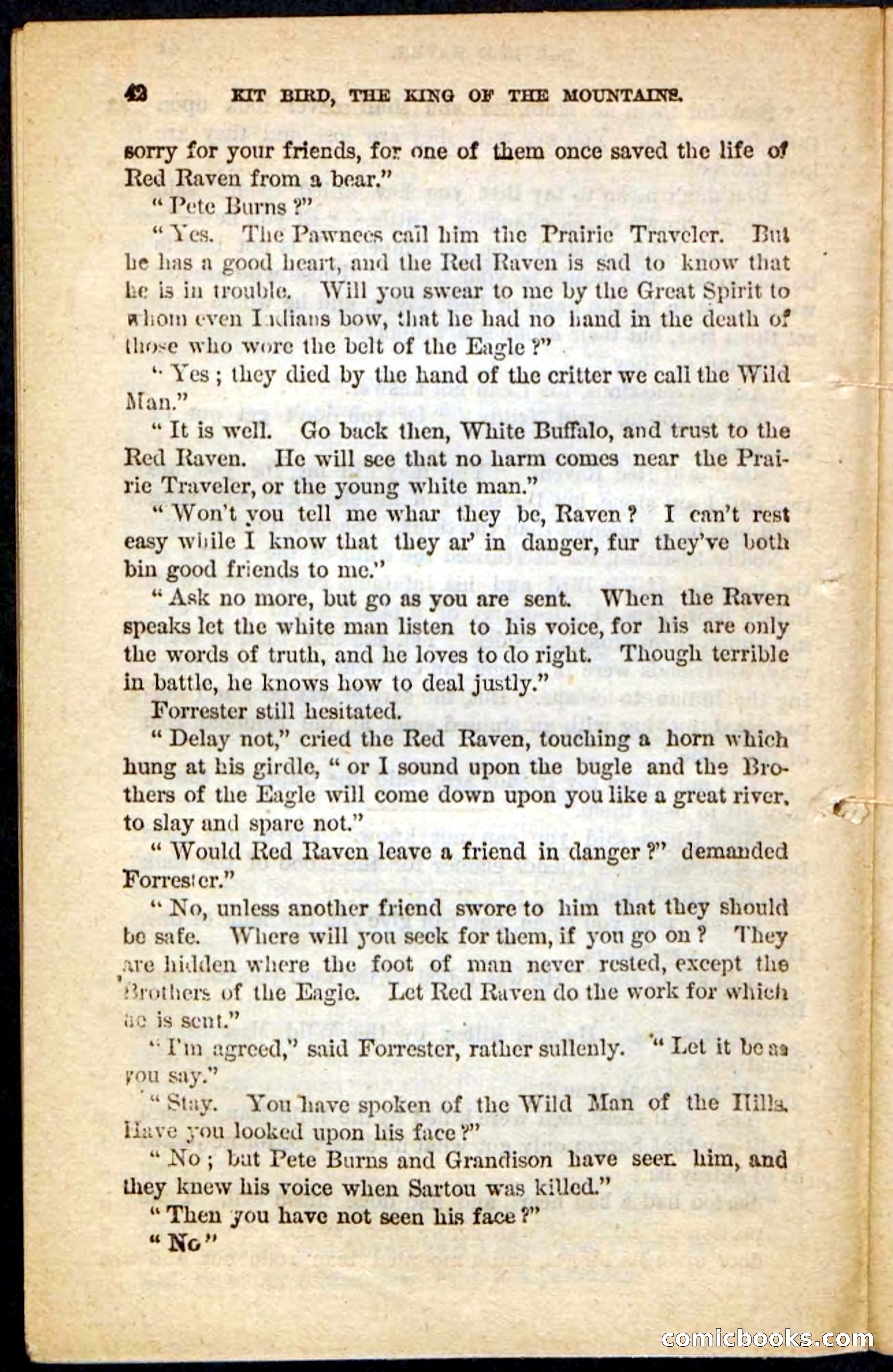 Kit Bird, Beadle's Pocket Novels No. 122 — page 38 of 100