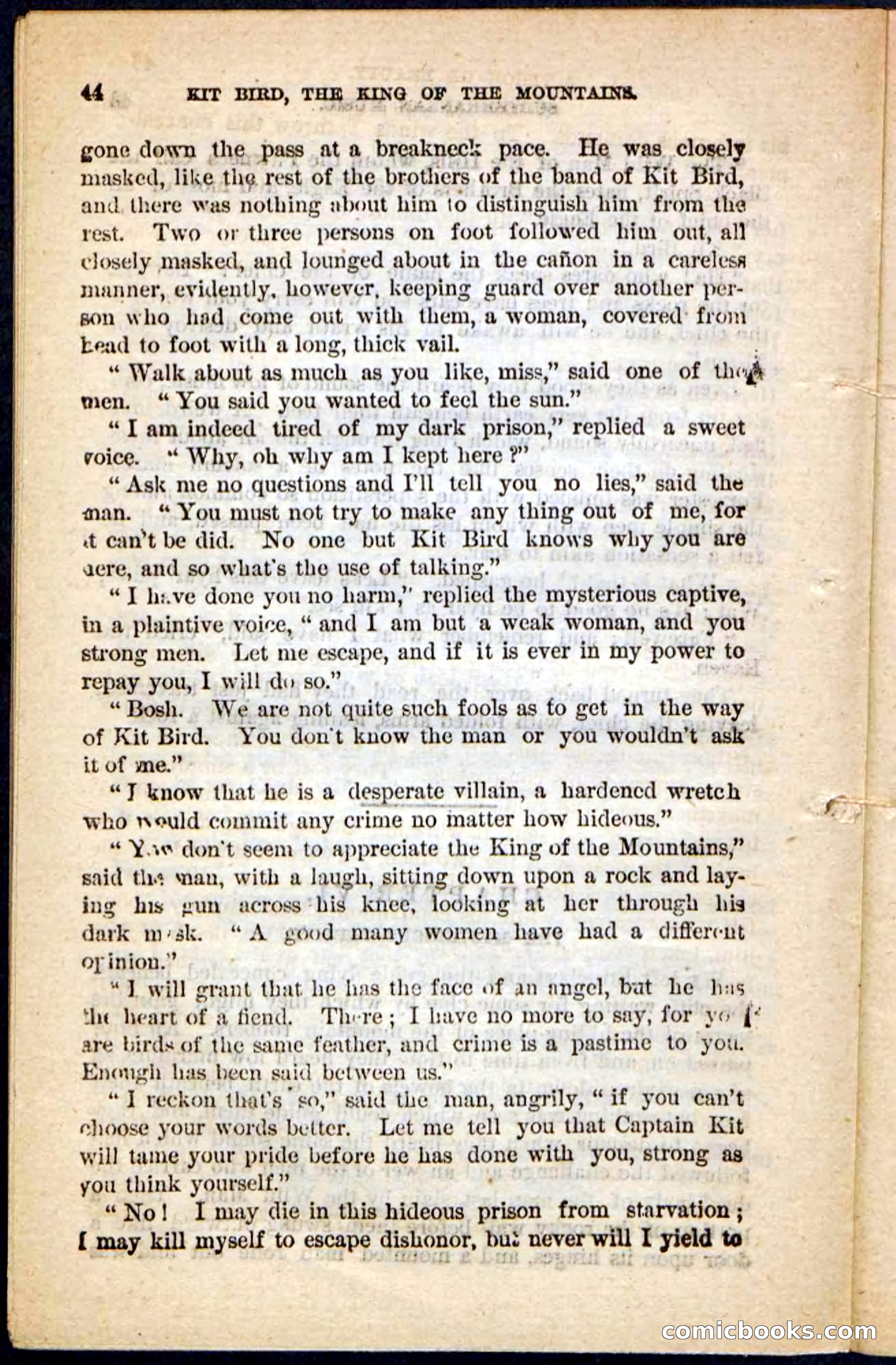 Kit Bird, Beadle's Pocket Novels No. 122 — page 40 of 100