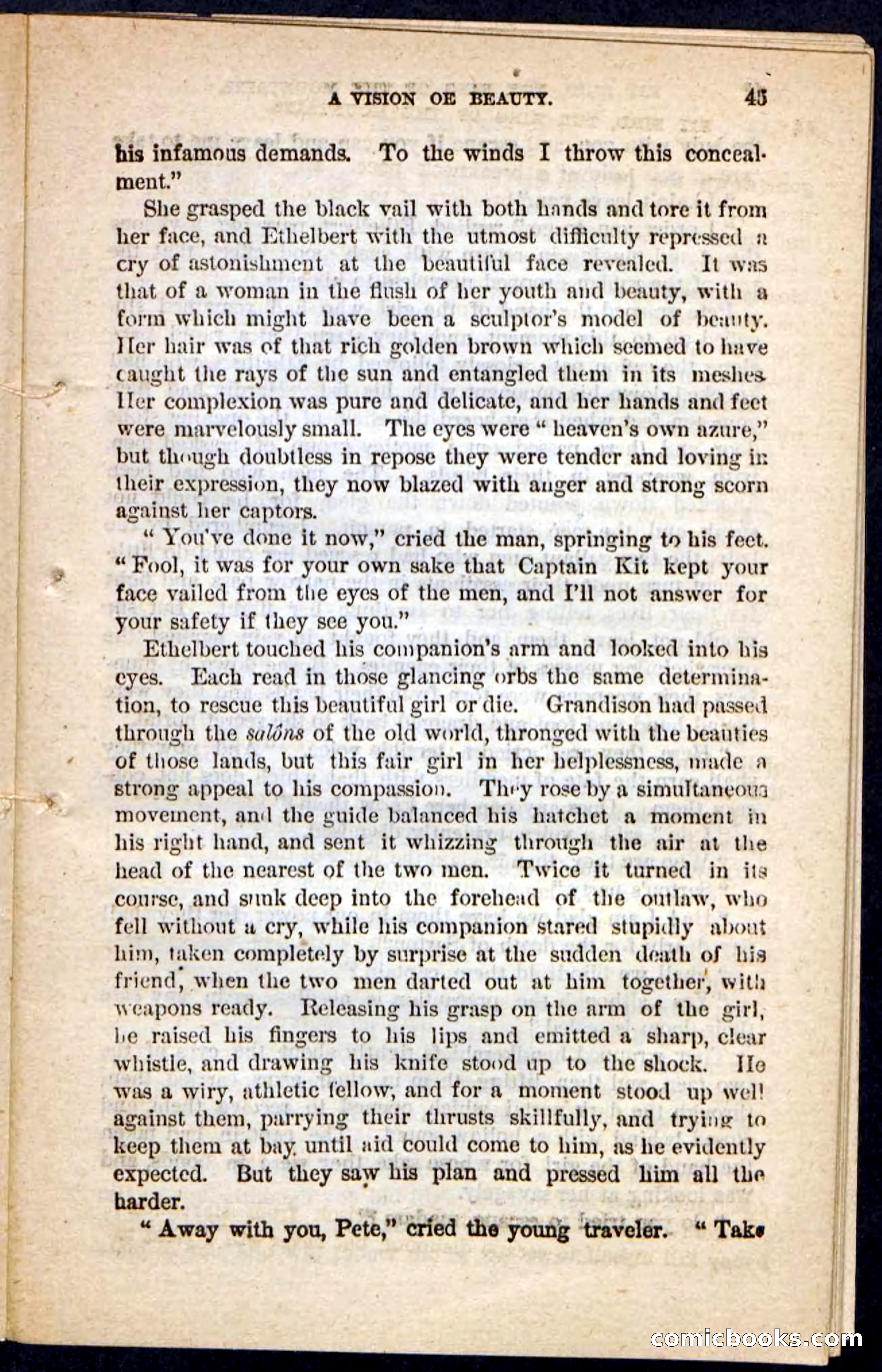 Kit Bird, Beadle's Pocket Novels No. 122 — page 41 of 100
