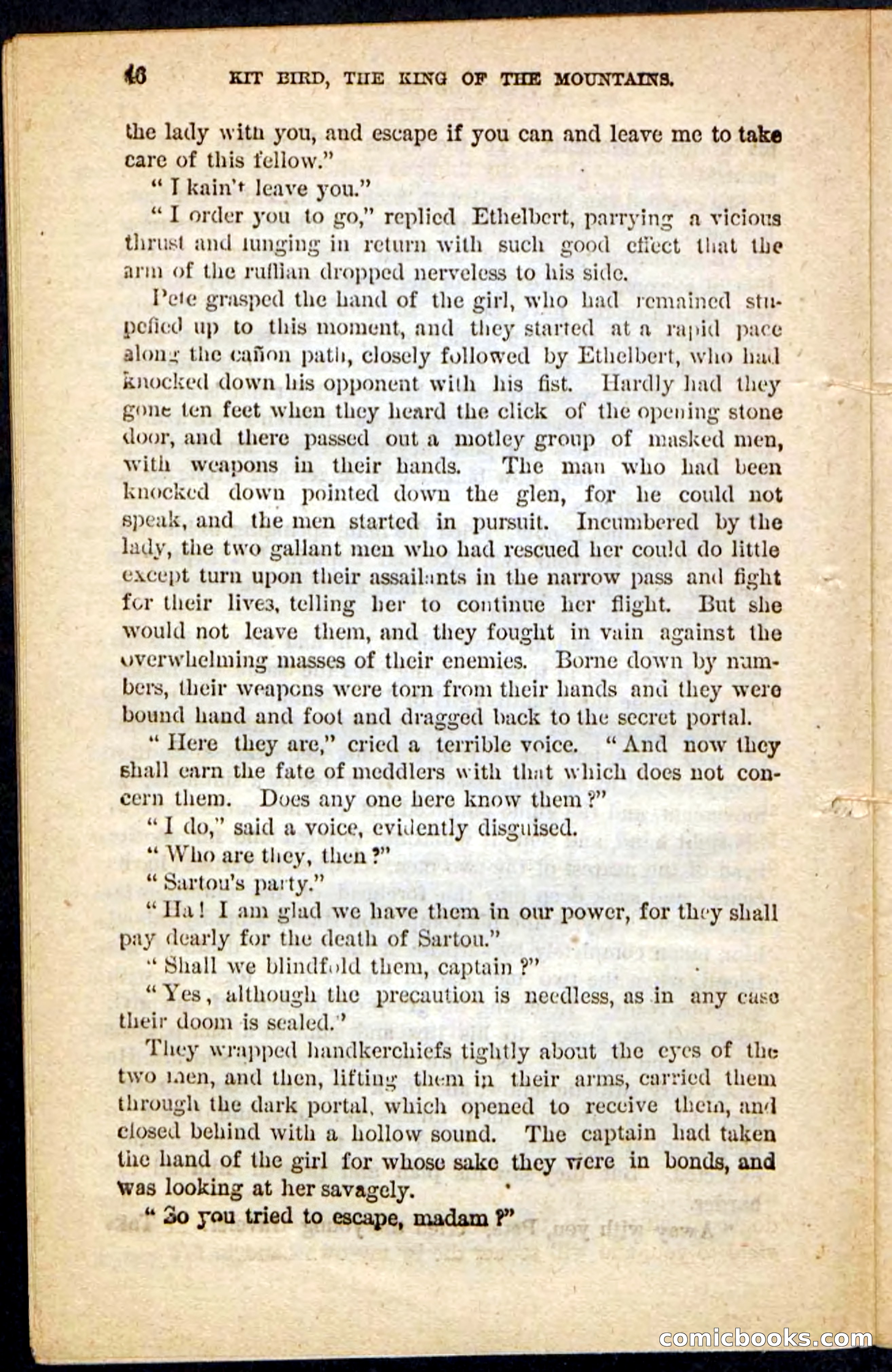 Kit Bird, Beadle's Pocket Novels No. 122 — page 42 of 100