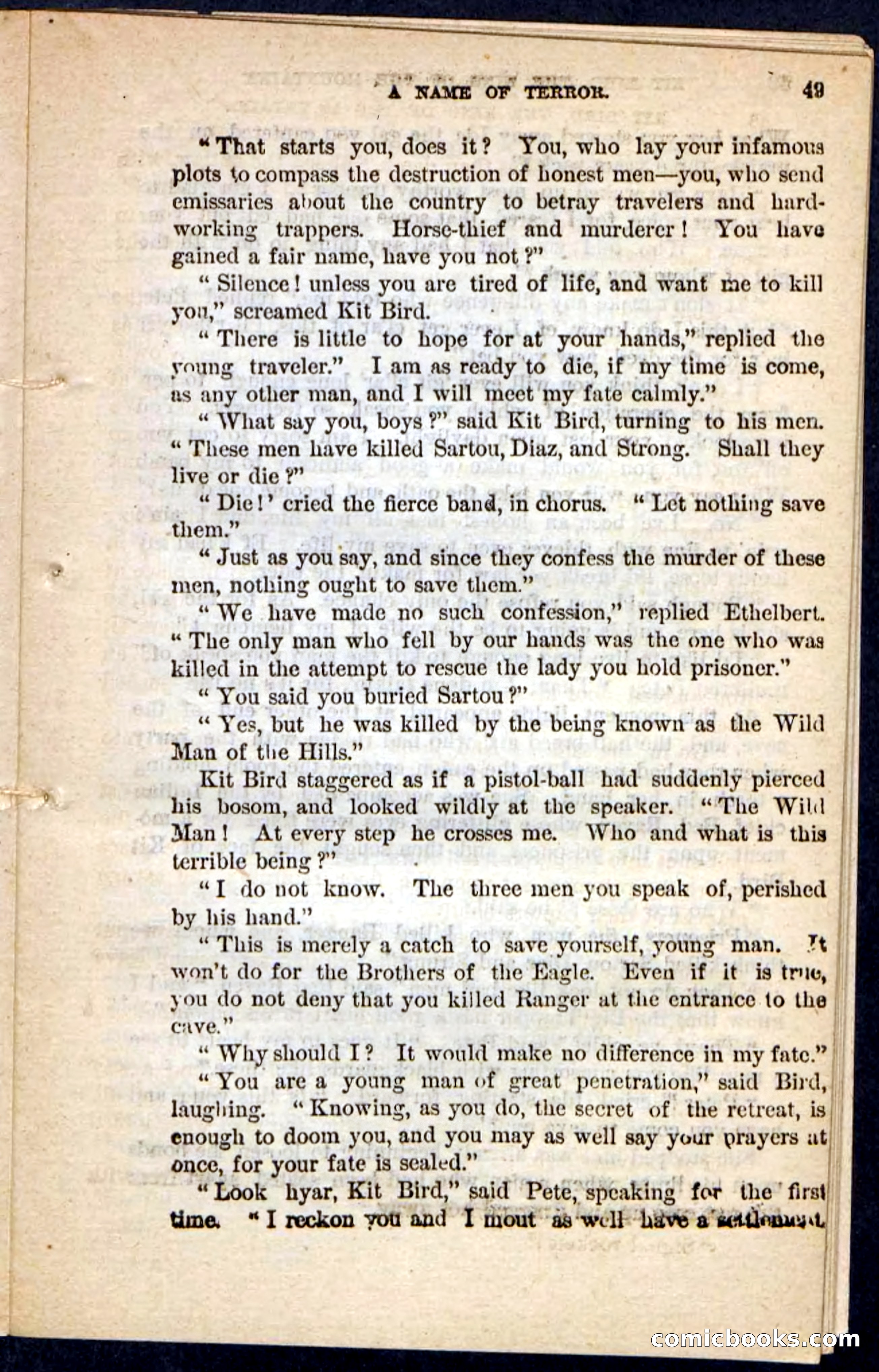Kit Bird, Beadle's Pocket Novels No. 122 — page 45 of 100