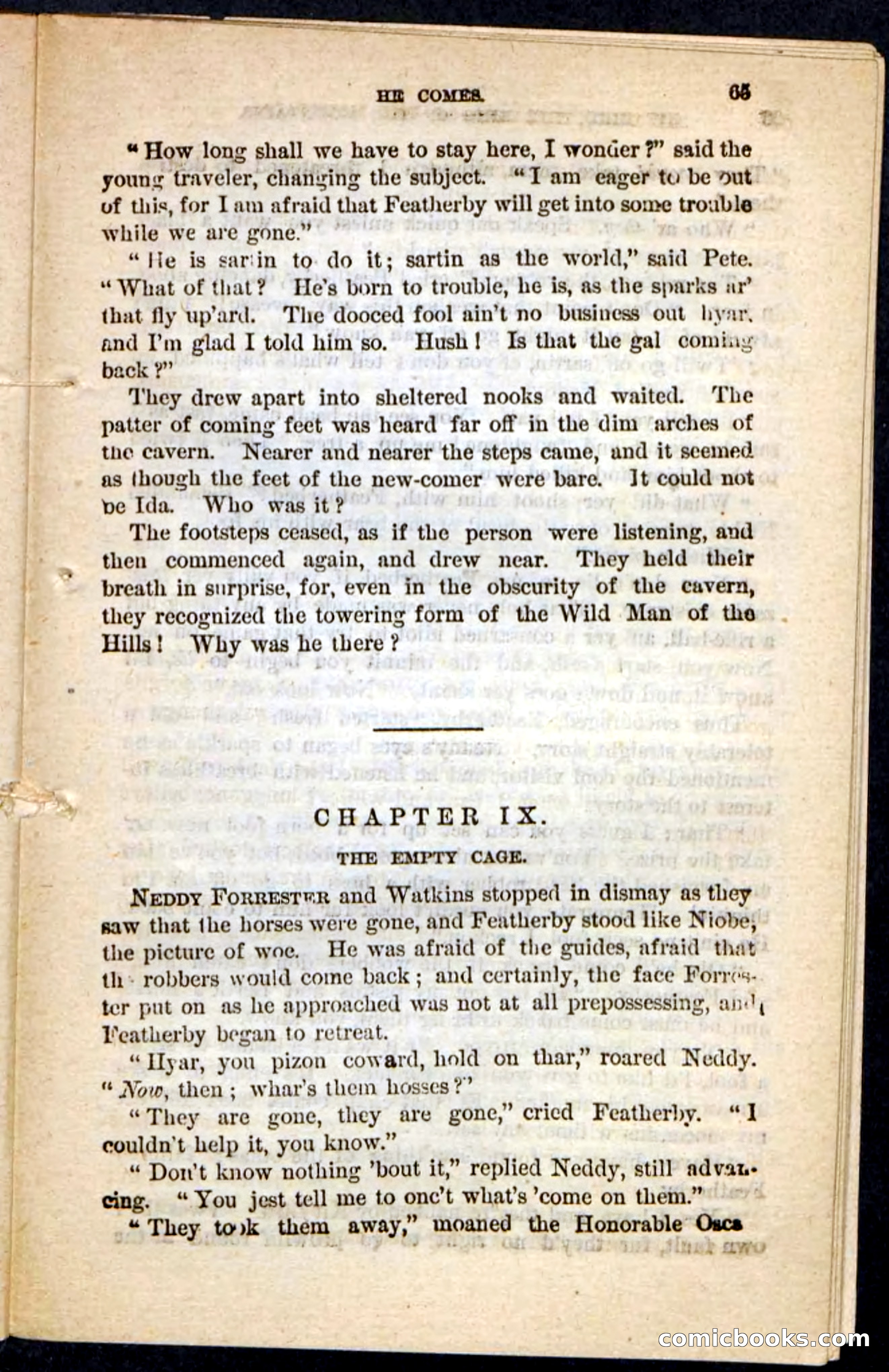 Kit Bird, Beadle's Pocket Novels No. 122 — page 61 of 100
