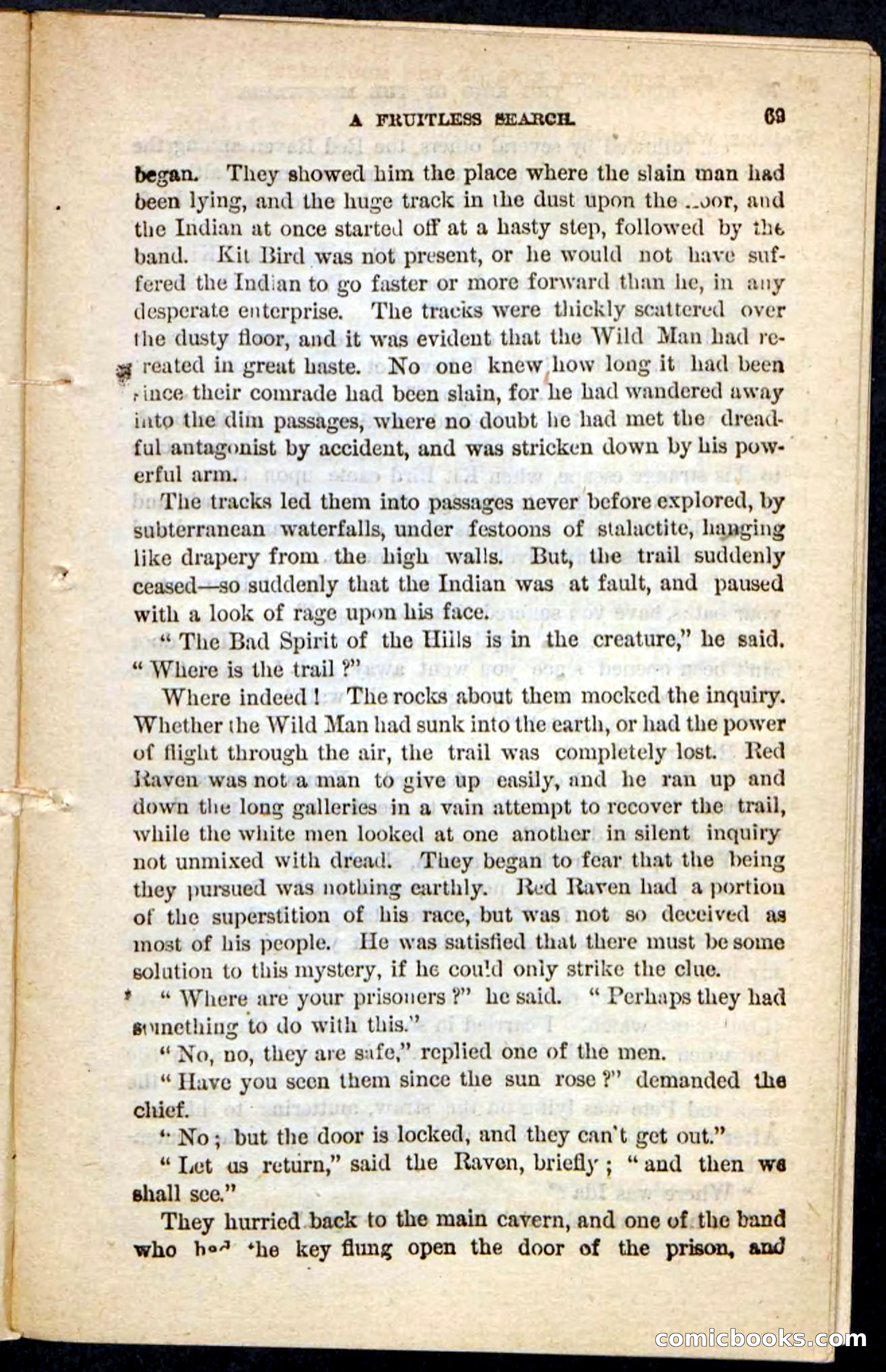 Kit Bird, Beadle's Pocket Novels No. 122 — page 65 of 100