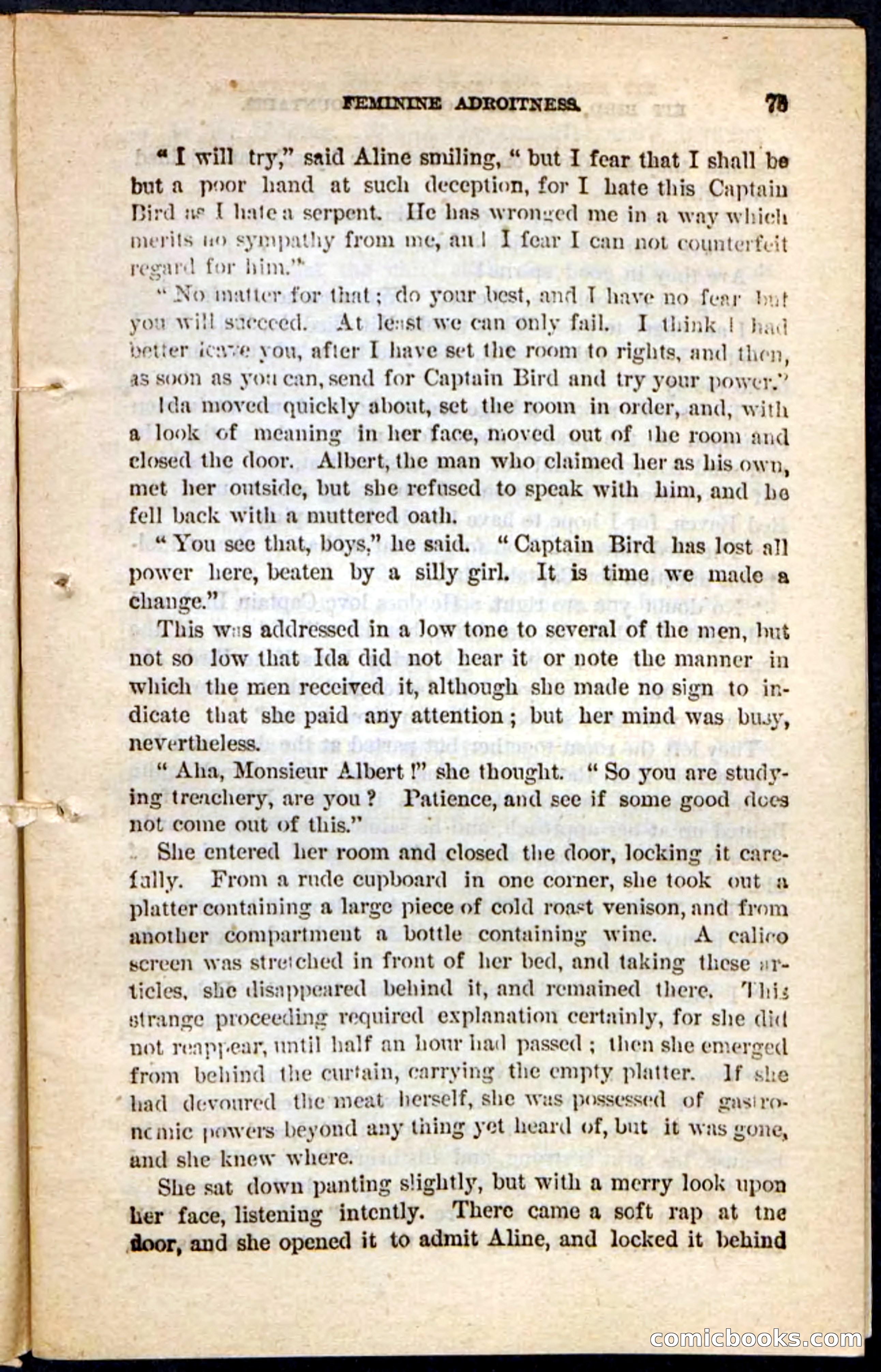 Kit Bird, Beadle's Pocket Novels No. 122 — page 71 of 100