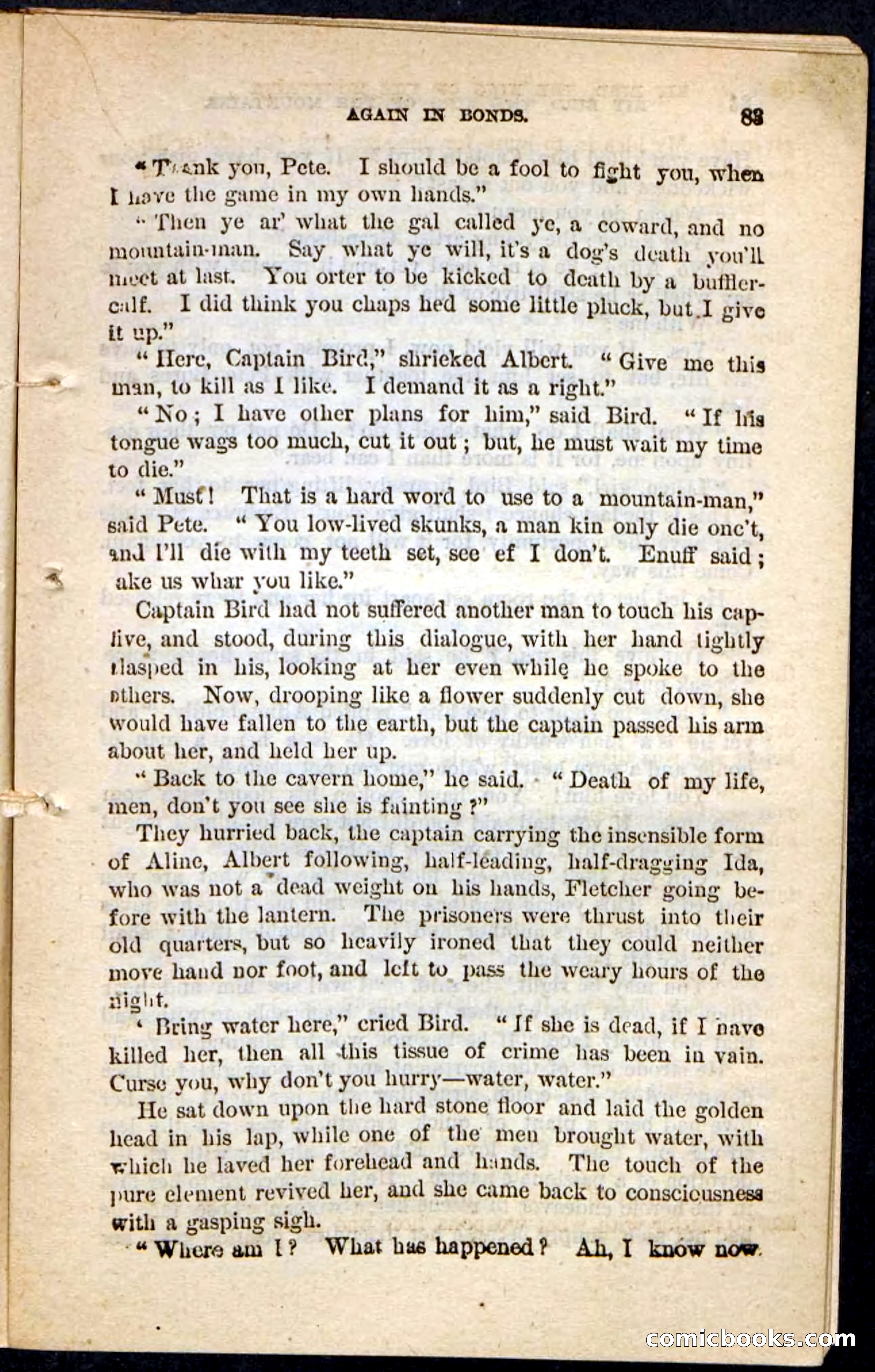 Kit Bird, Beadle's Pocket Novels No. 122 — page 79 of 100