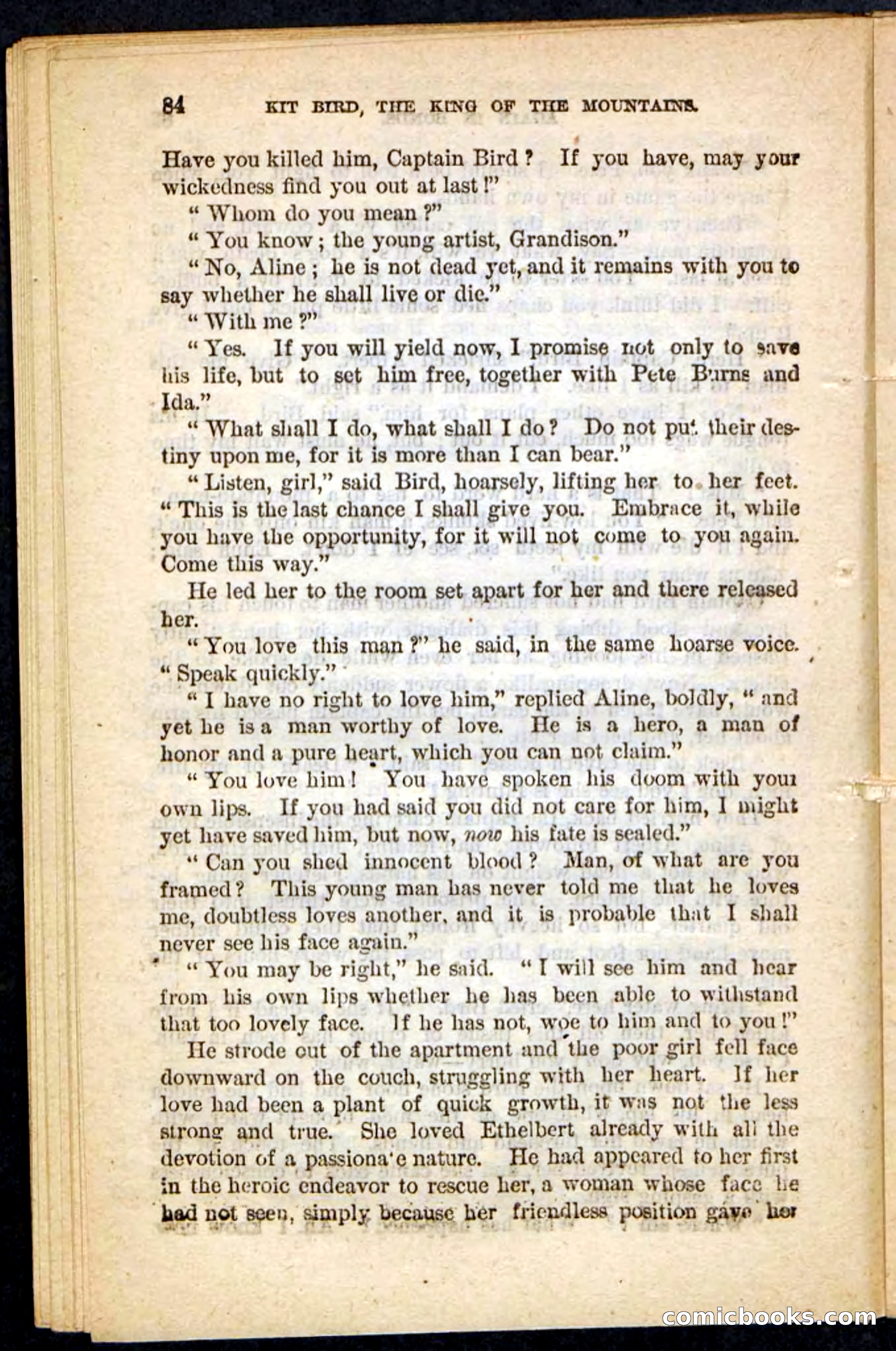 Kit Bird, Beadle's Pocket Novels No. 122 — page 80 of 100
