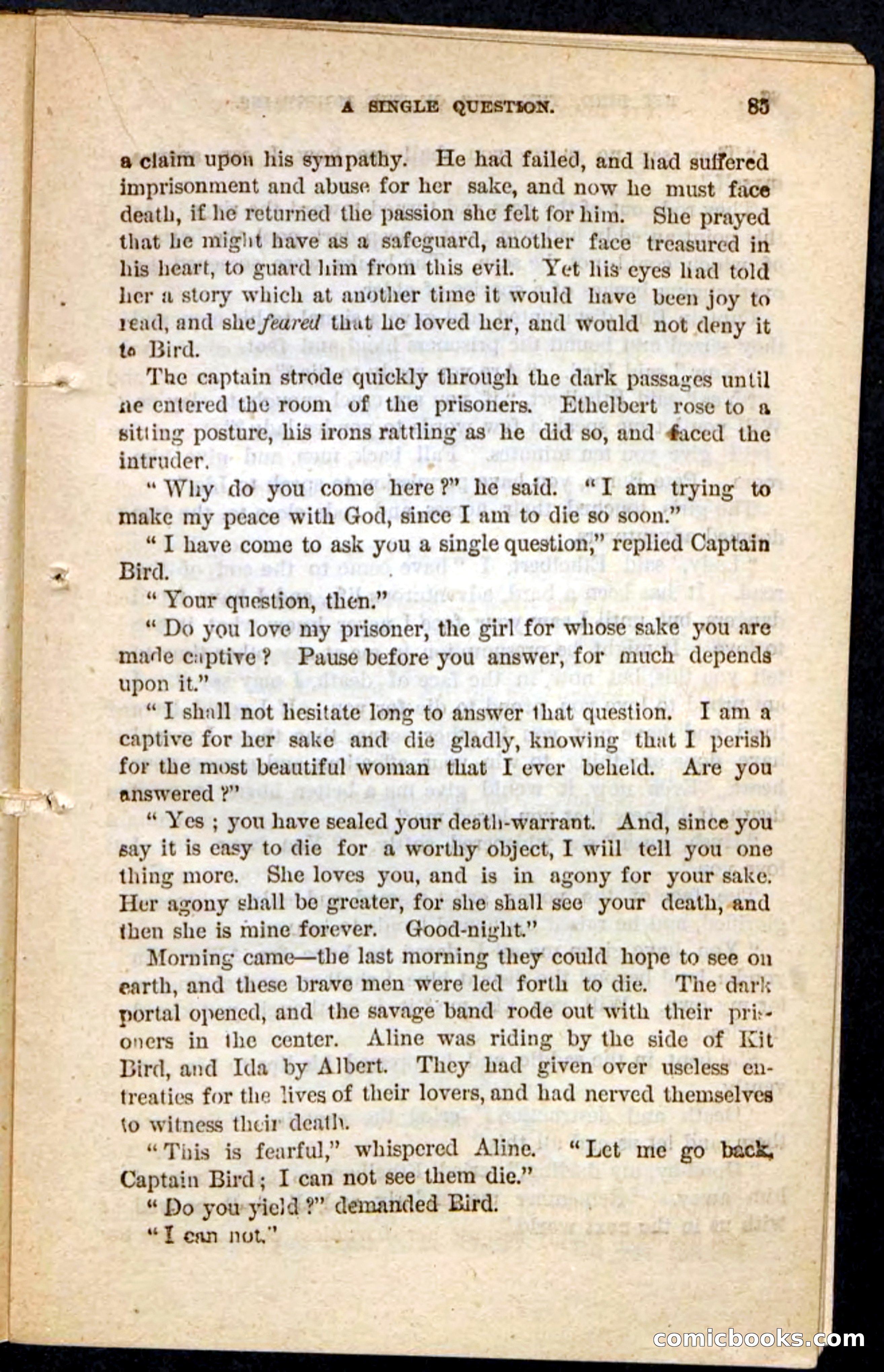 Kit Bird, Beadle's Pocket Novels No. 122 — page 81 of 100