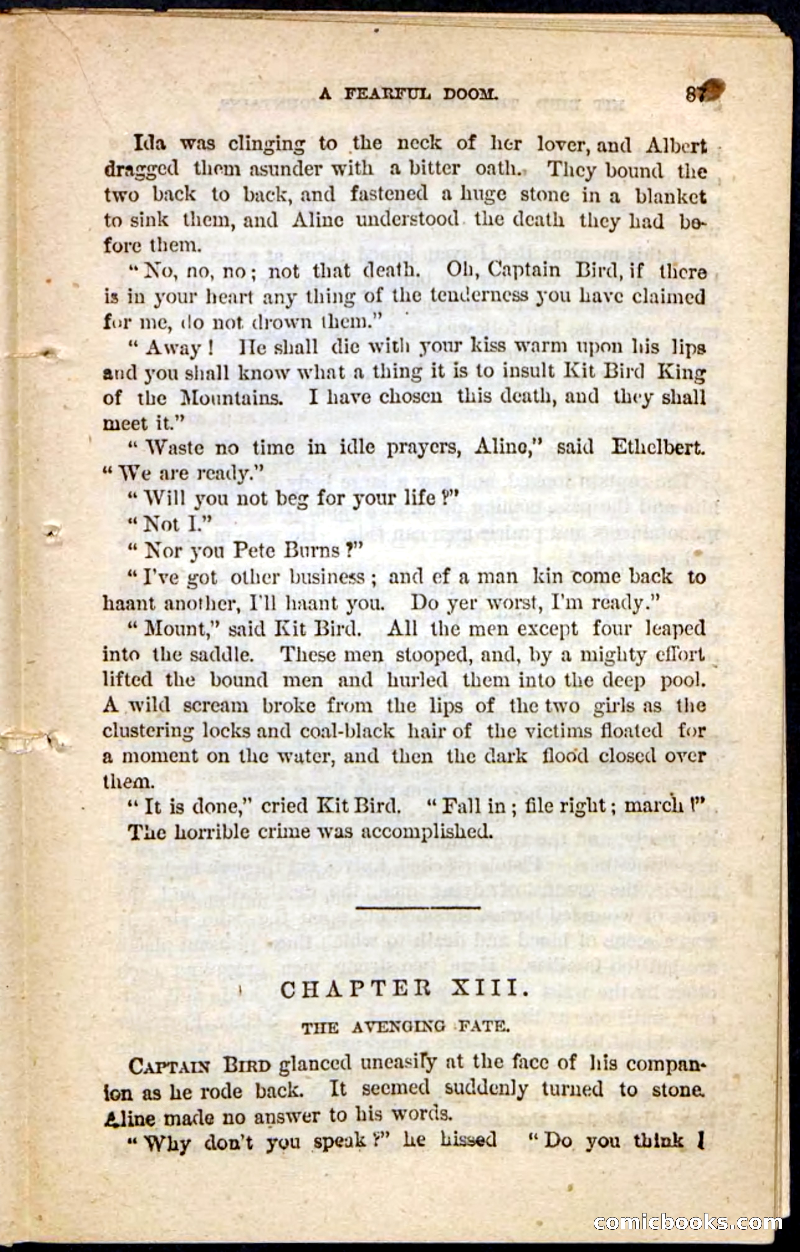 Kit Bird, Beadle's Pocket Novels No. 122 — page 83 of 100