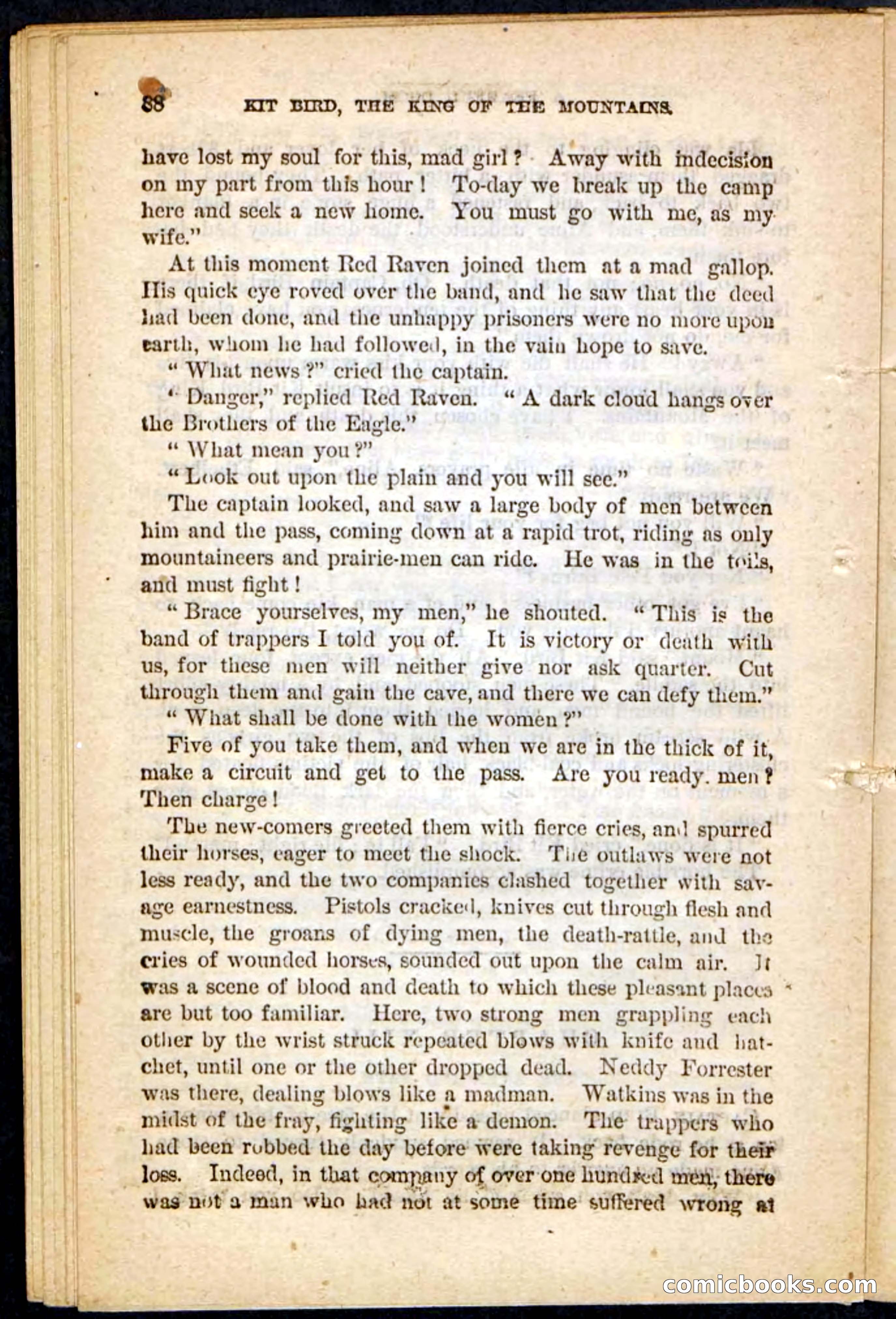 Kit Bird, Beadle's Pocket Novels No. 122 — page 84 of 100