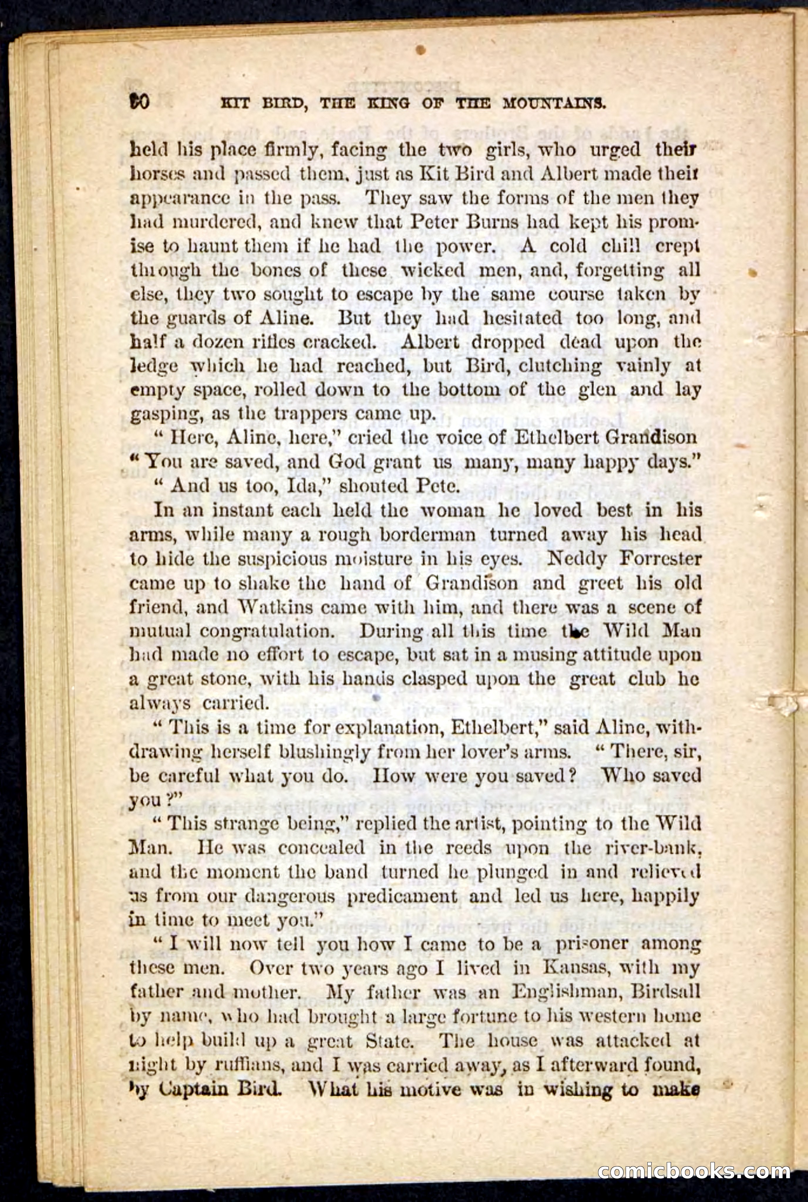 Kit Bird, Beadle's Pocket Novels No. 122 — page 86 of 100