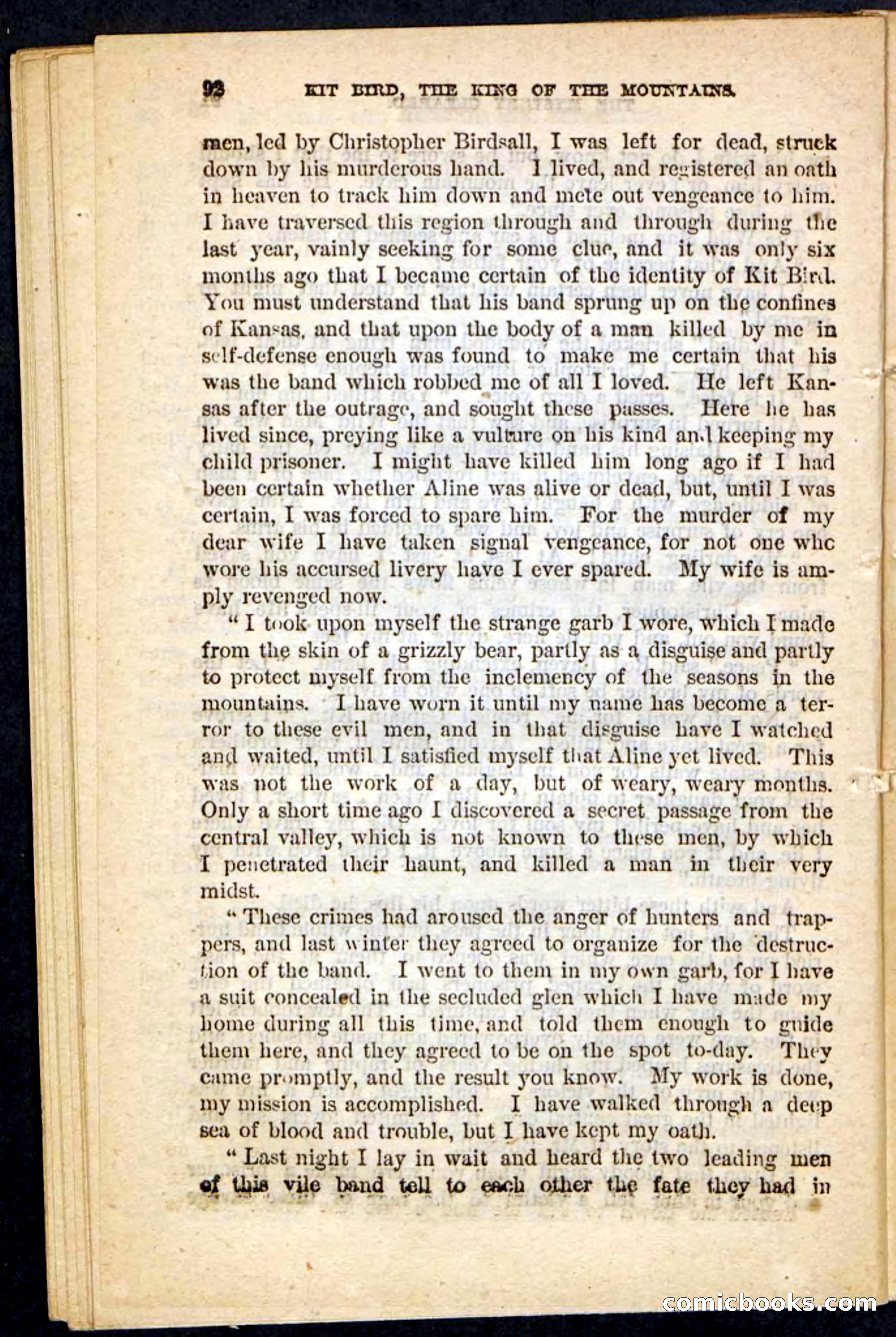 Kit Bird, Beadle's Pocket Novels No. 122 — page 88 of 100