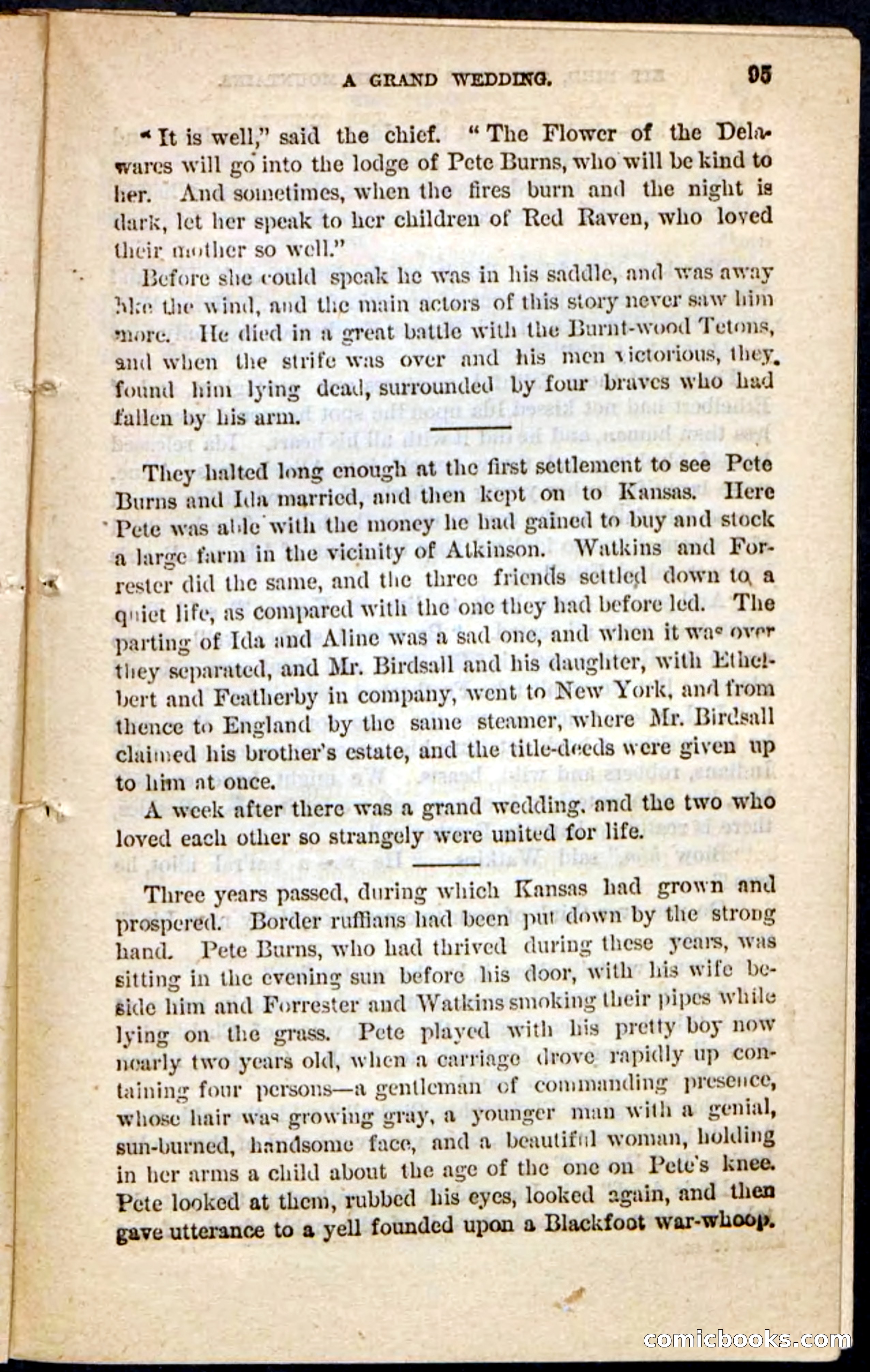 Kit Bird, Beadle's Pocket Novels No. 122 — page 91 of 100