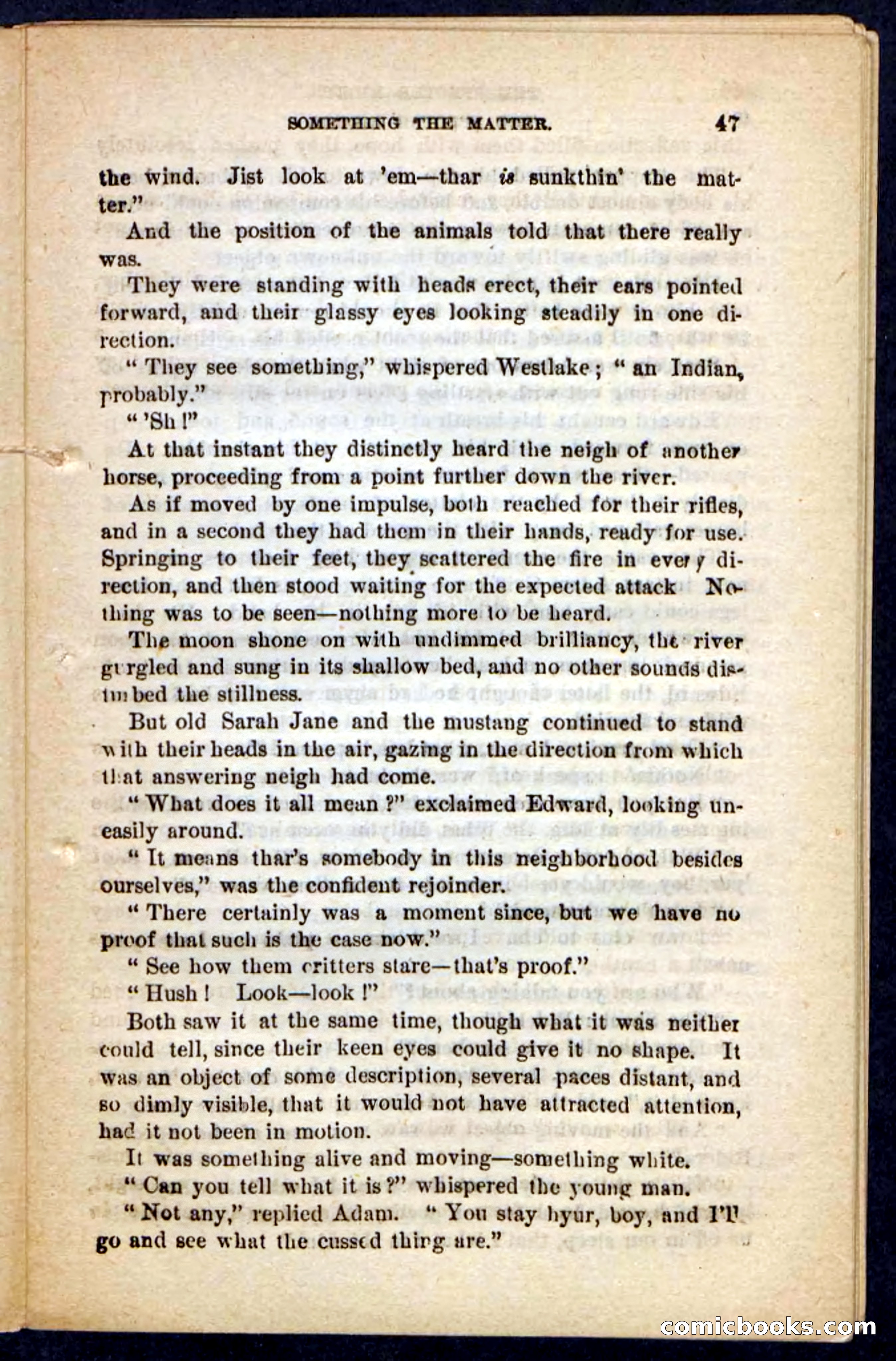 The Specter Riders — page 43 of 100