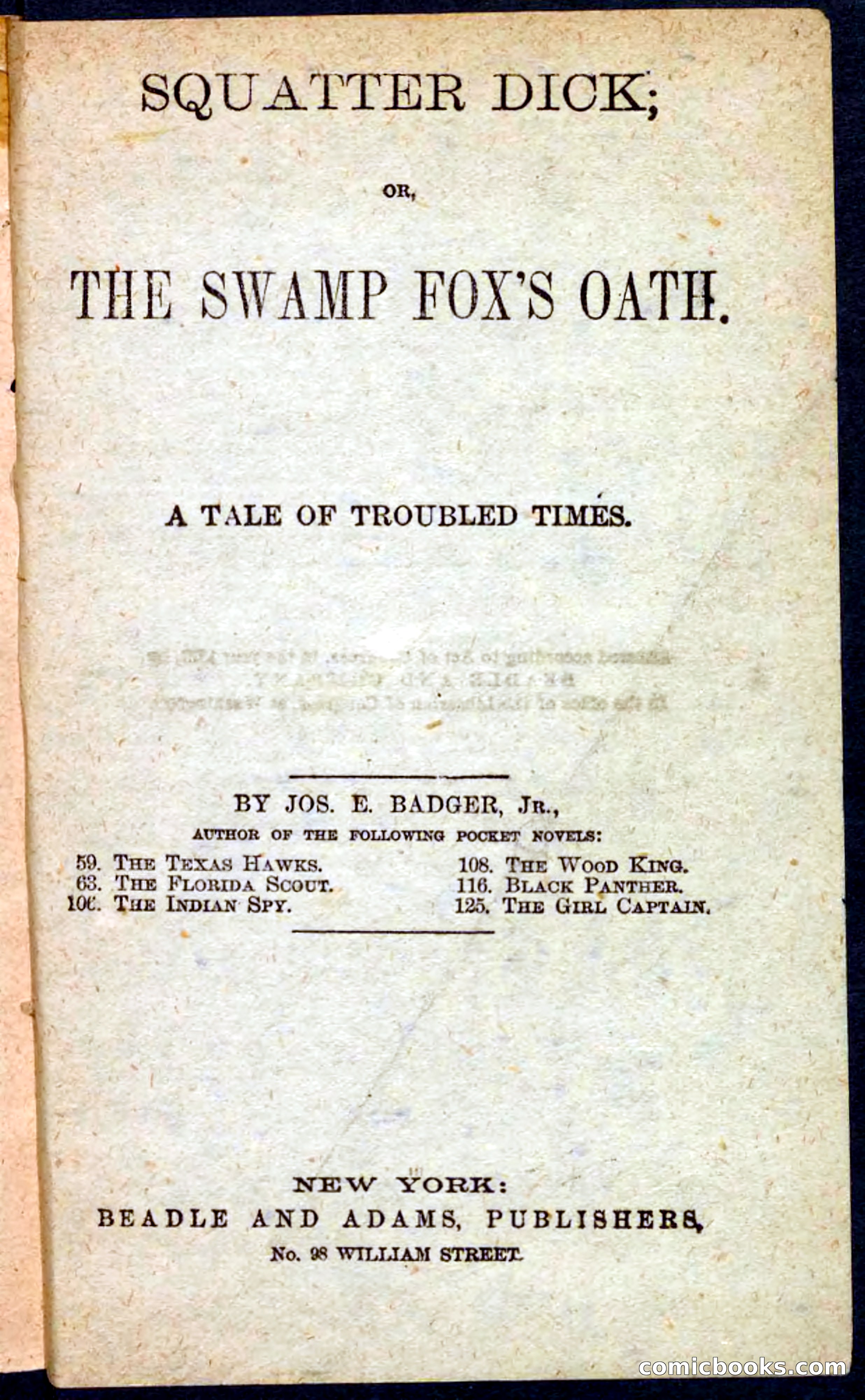 Beadle's Pocket Novels No. 128: Squatter Dick — page 3 of 100