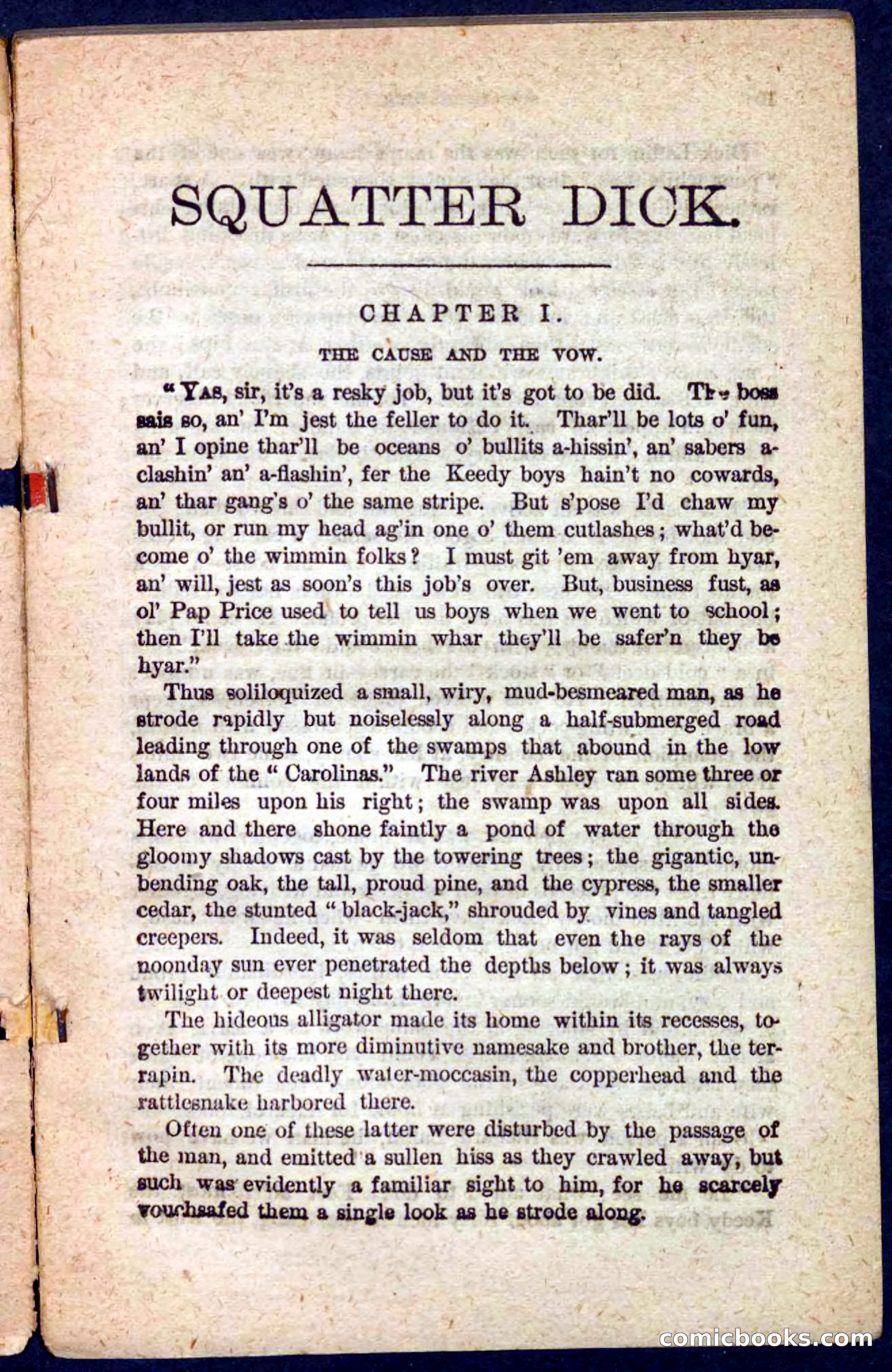 Beadle's Pocket Novels No. 128: Squatter Dick — page 5 of 100