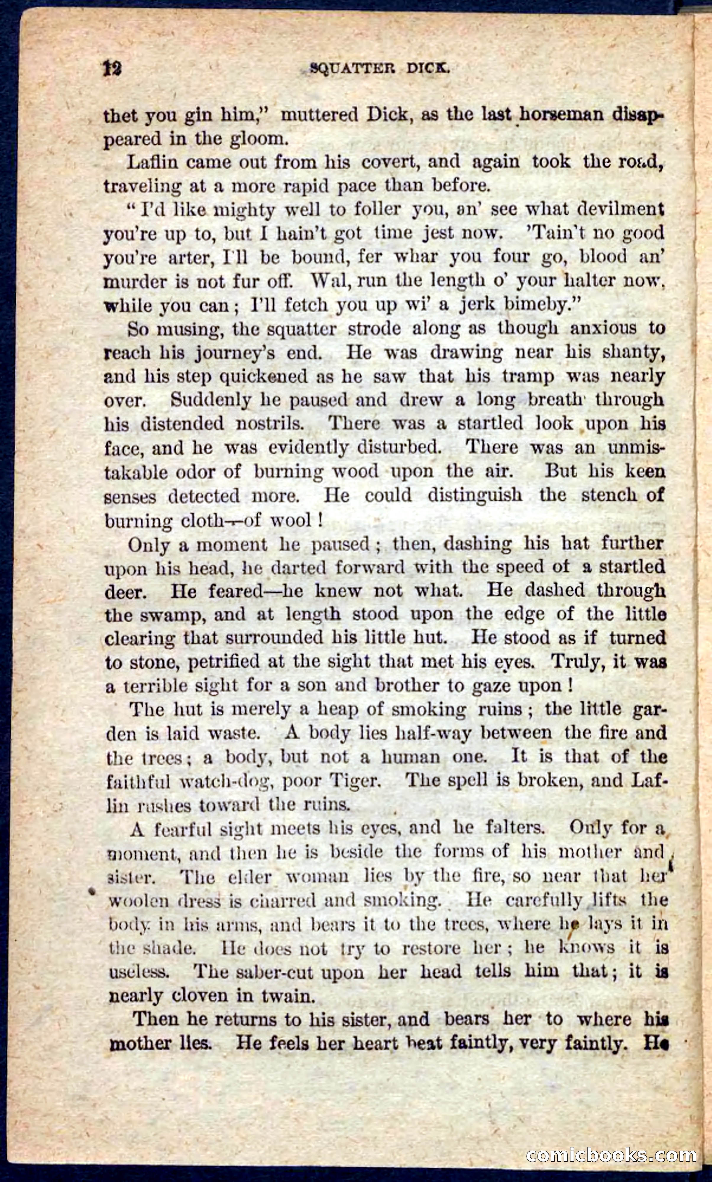 Beadle's Pocket Novels No. 128: Squatter Dick — page 8 of 100
