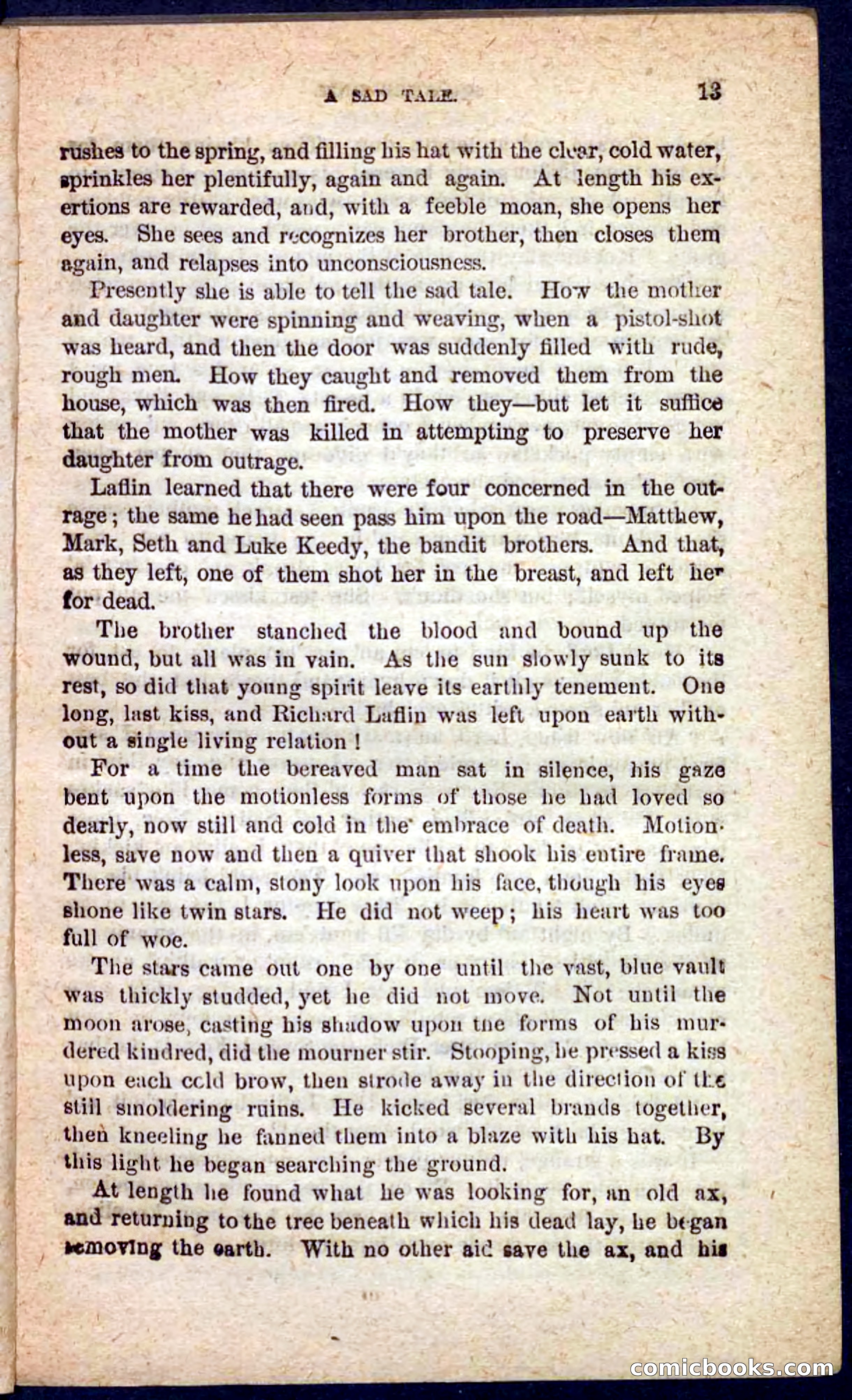 Beadle's Pocket Novels No. 128: Squatter Dick — page 9 of 100