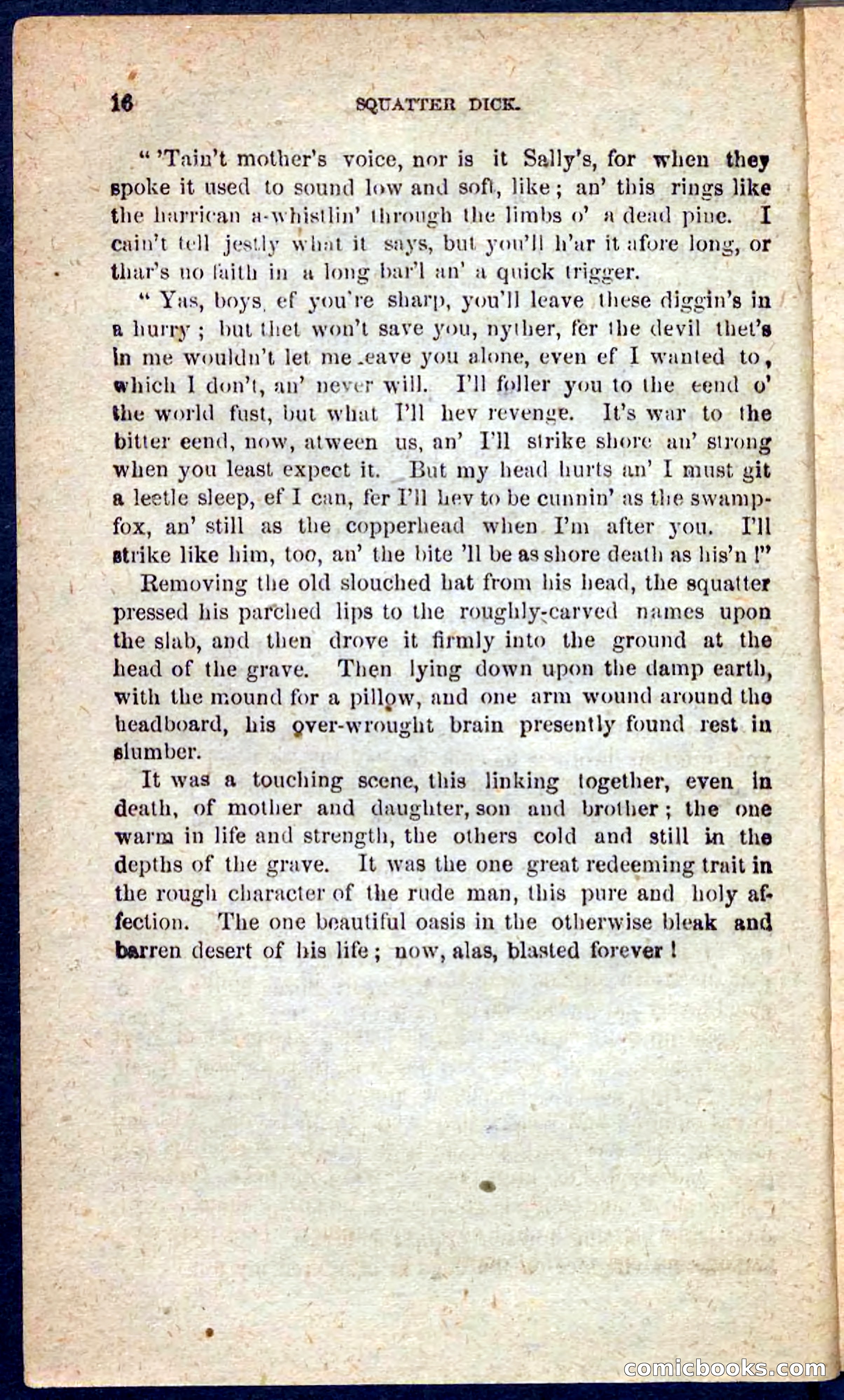 Beadle's Pocket Novels No. 128: Squatter Dick — page 12 of 100