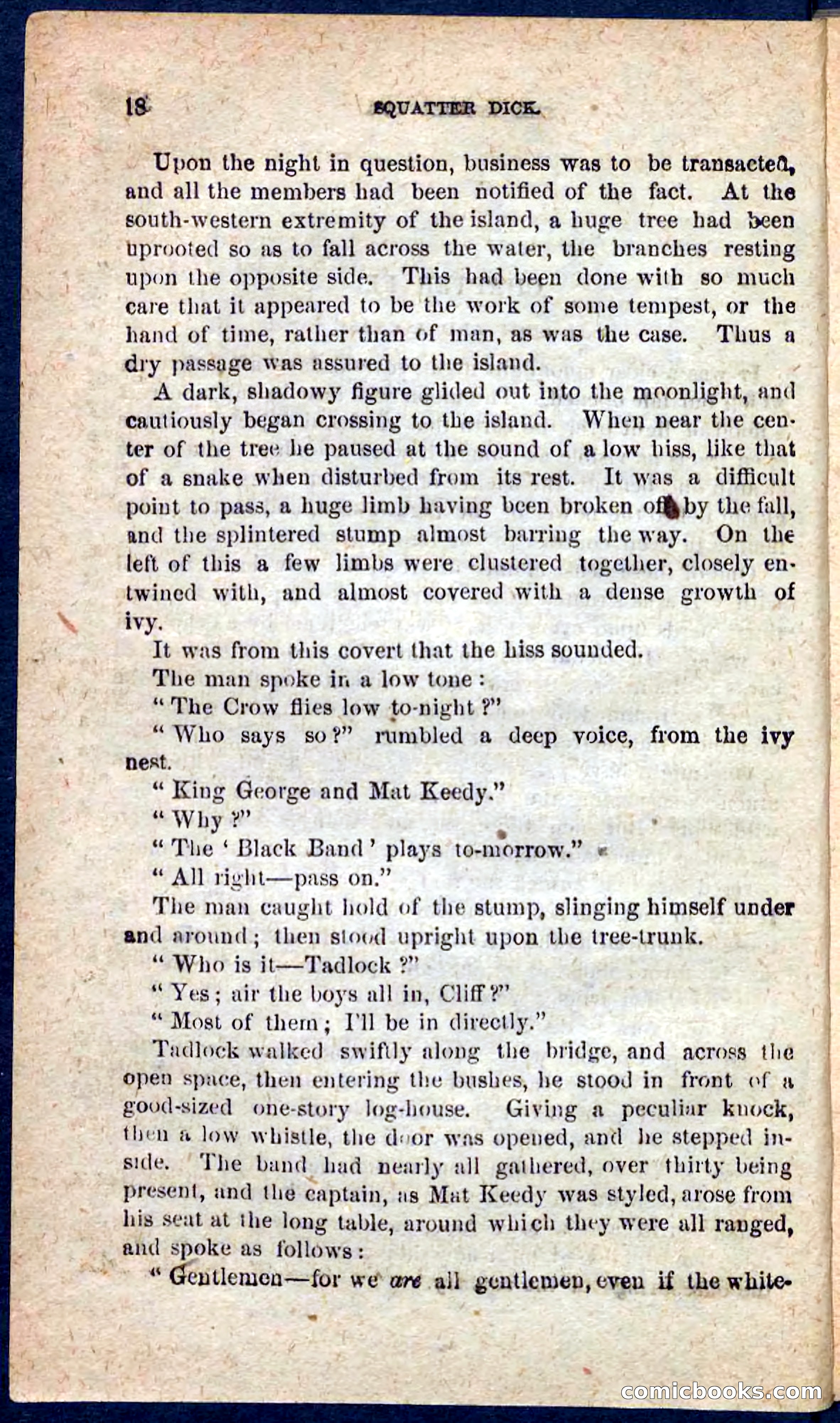 Beadle's Pocket Novels No. 128: Squatter Dick — page 14 of 100