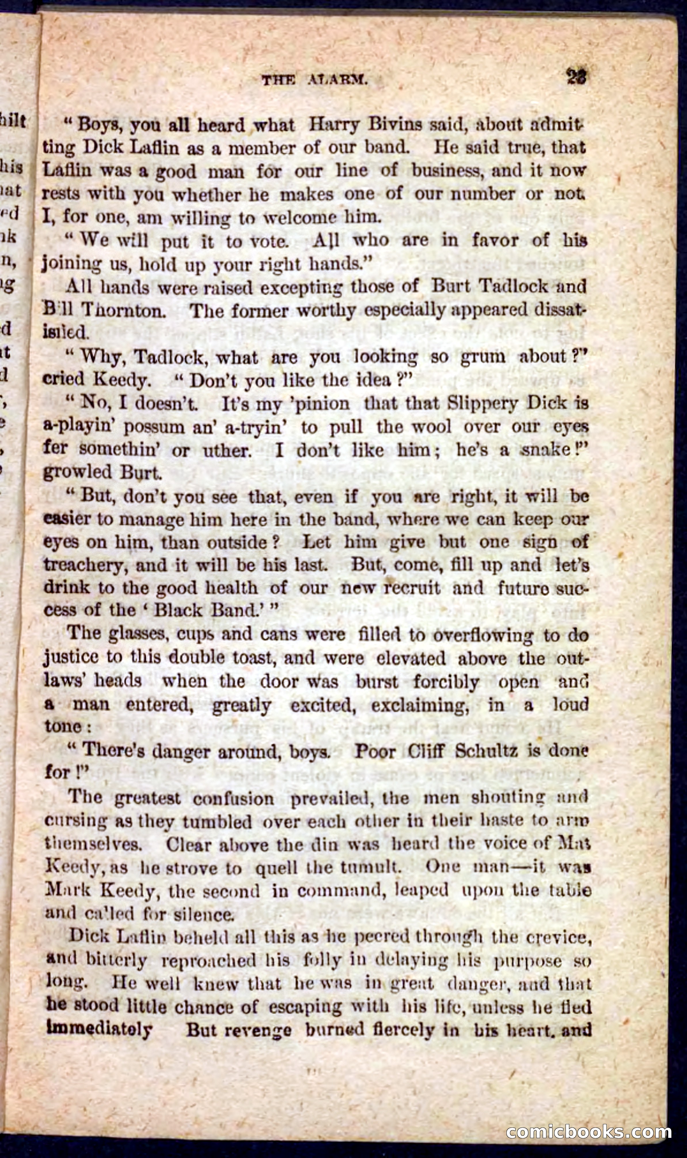 Beadle's Pocket Novels No. 128: Squatter Dick — page 19 of 100