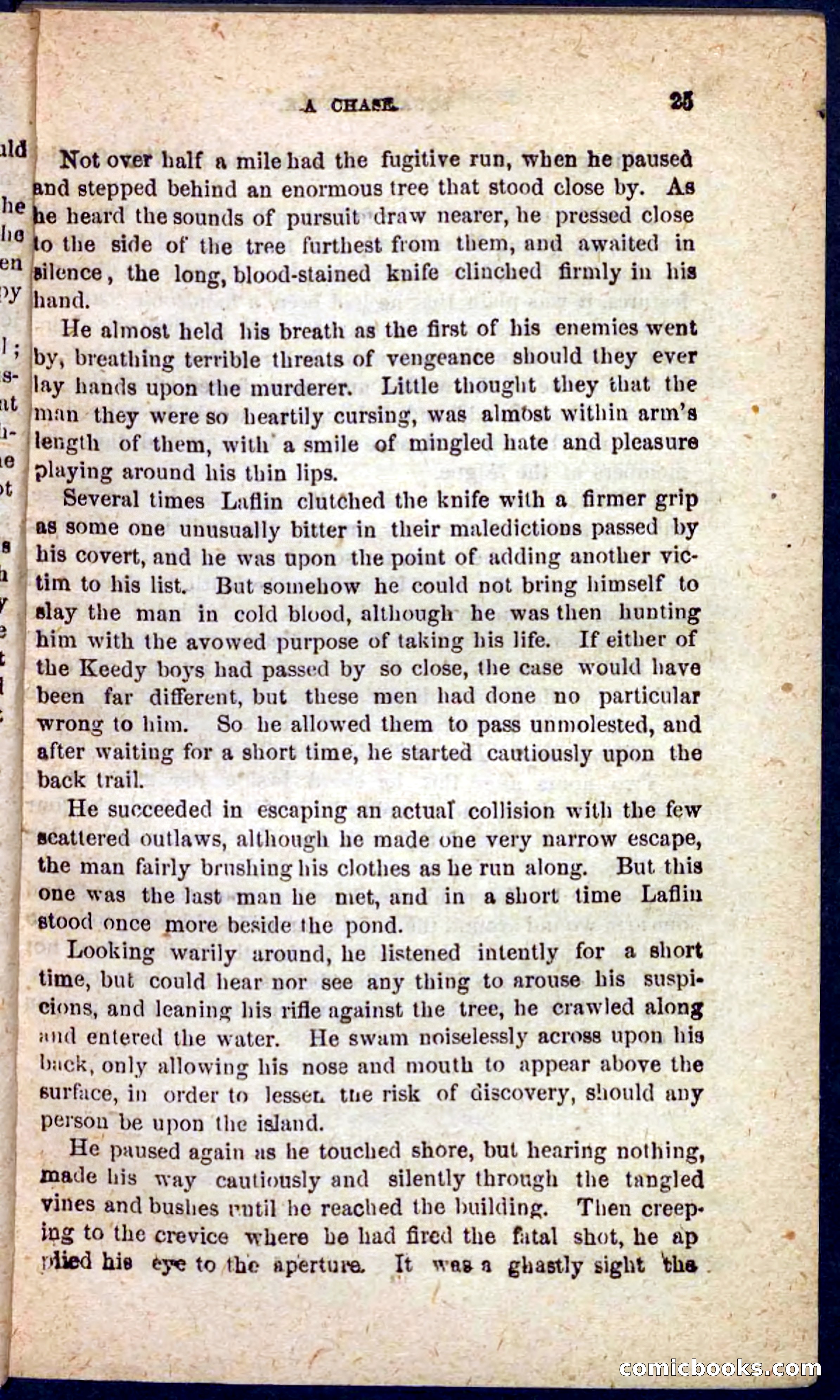 Beadle's Pocket Novels No. 128: Squatter Dick — page 21 of 100