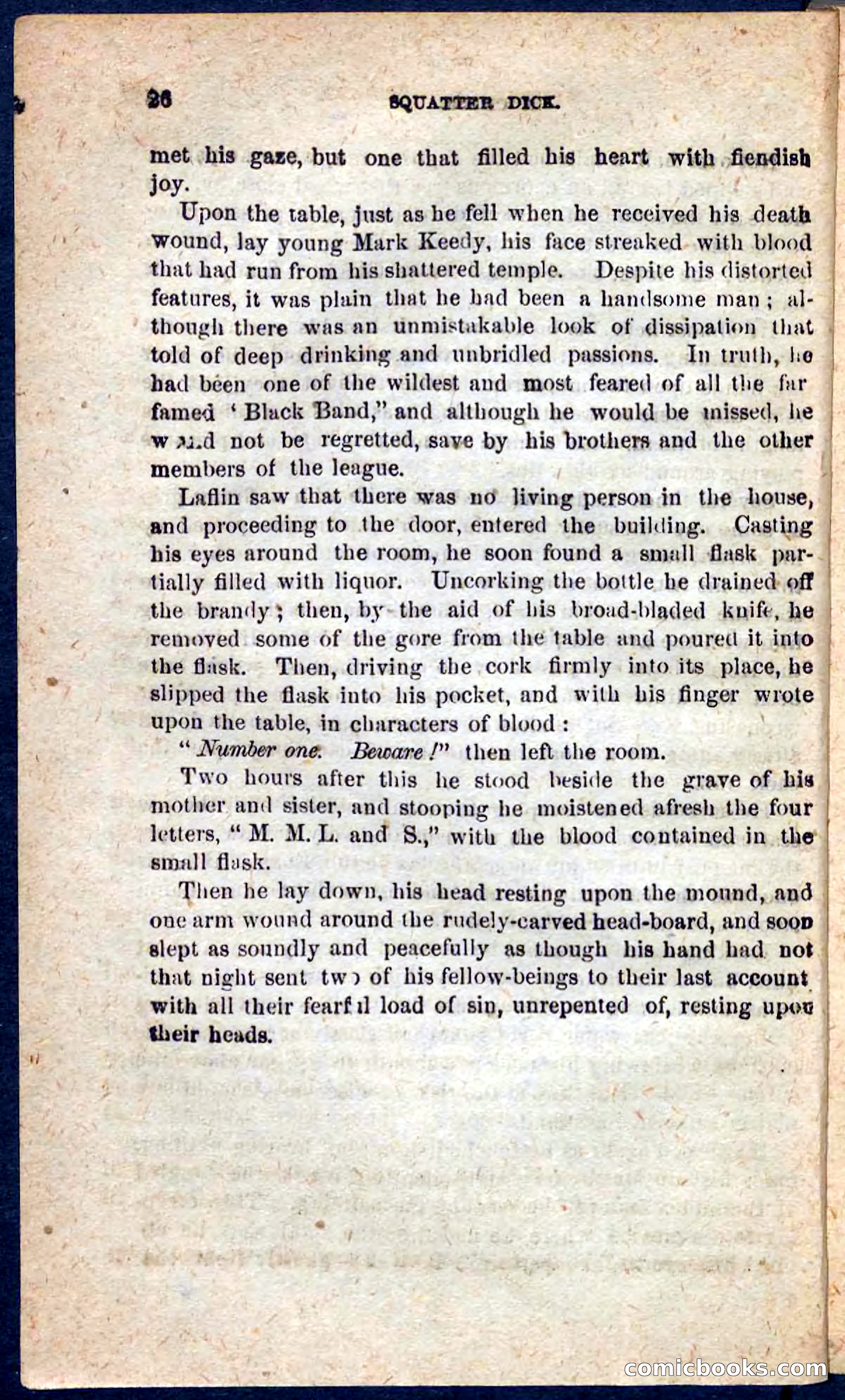Beadle's Pocket Novels No. 128: Squatter Dick — page 22 of 100