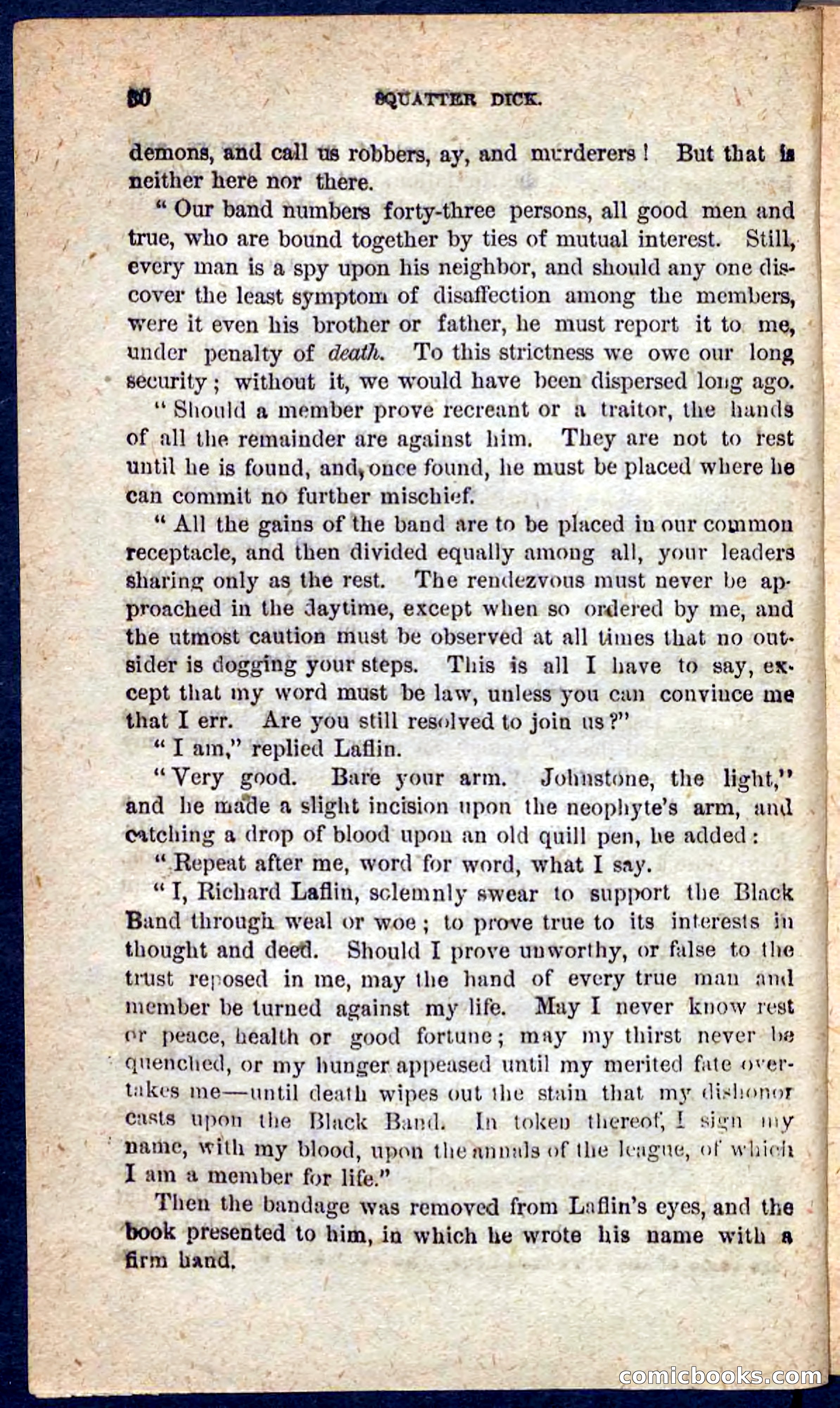 Beadle's Pocket Novels No. 128: Squatter Dick — page 26 of 100