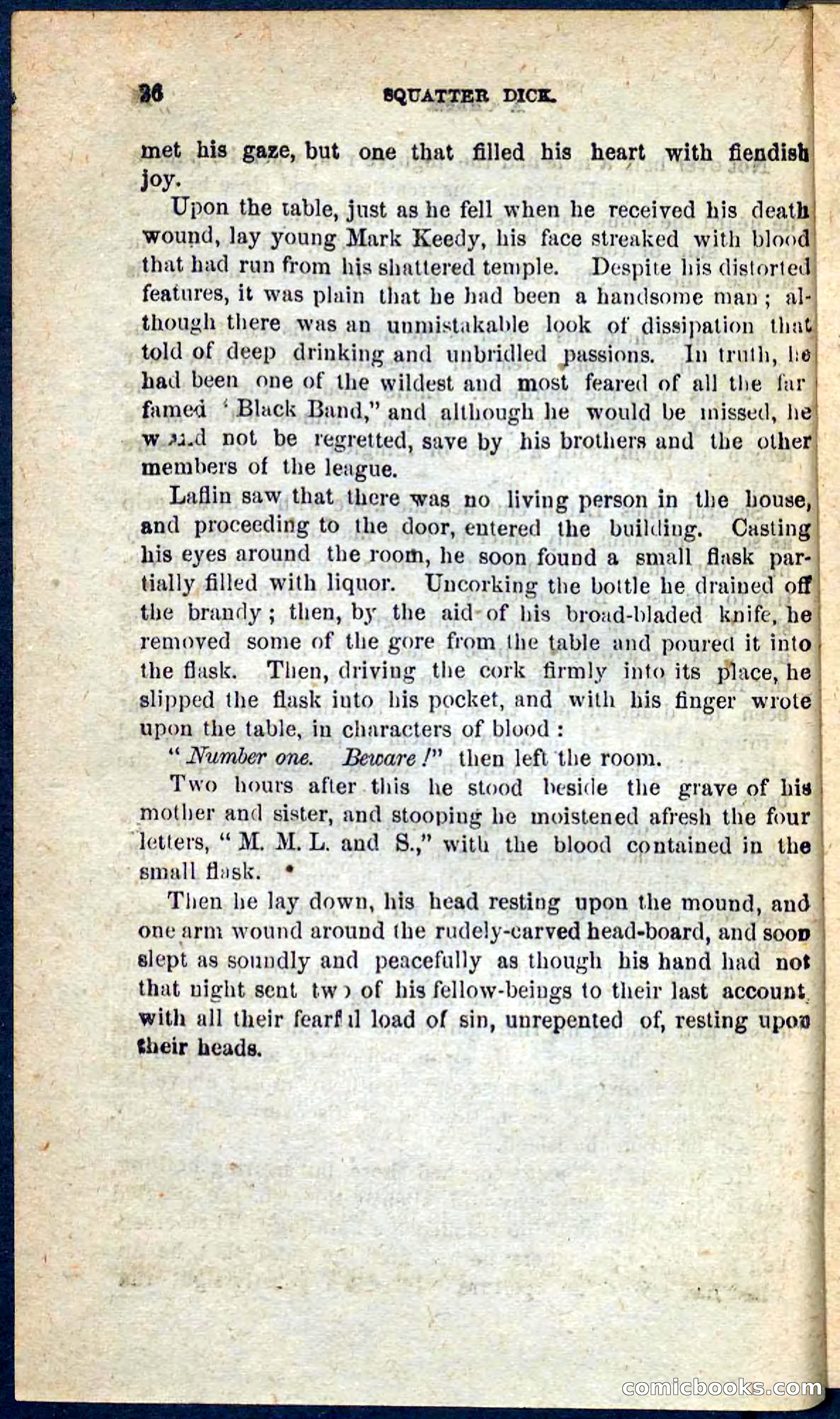 Beadle's Pocket Novels No. 128: Squatter Dick — page 32 of 100