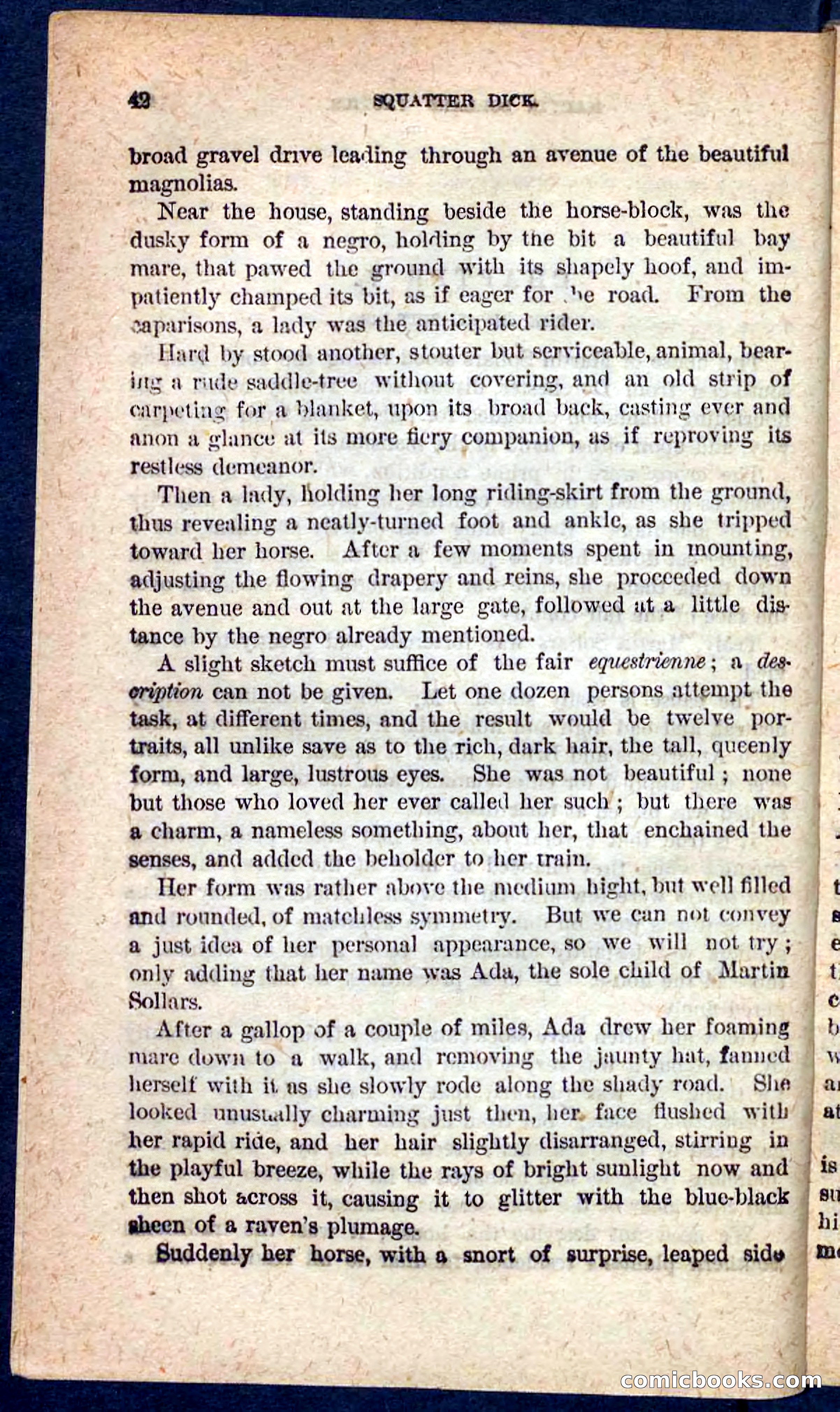 Beadle's Pocket Novels No. 128: Squatter Dick — page 38 of 100