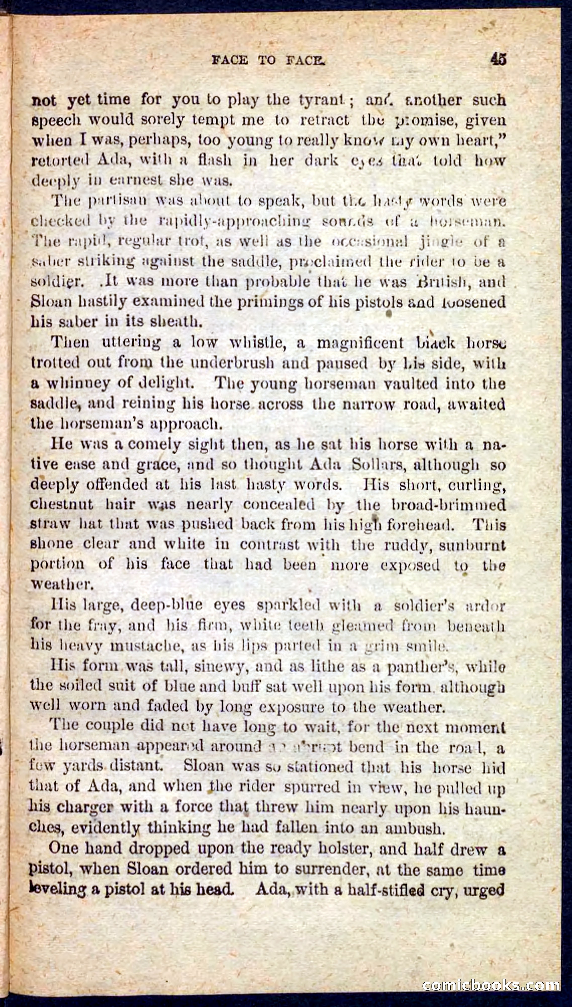 Beadle's Pocket Novels No. 128: Squatter Dick — page 41 of 100