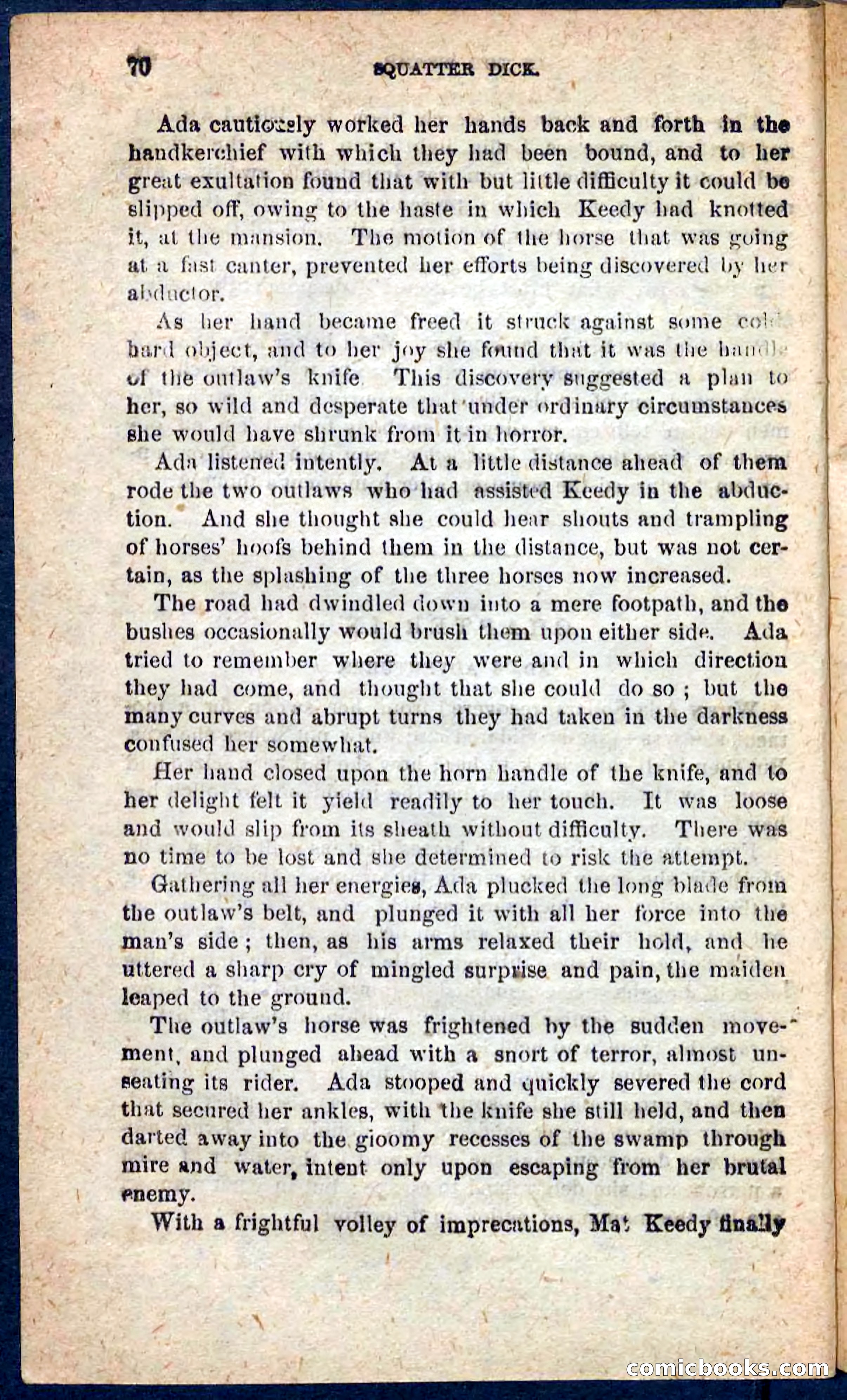 Beadle's Pocket Novels No. 128: Squatter Dick — page 66 of 100
