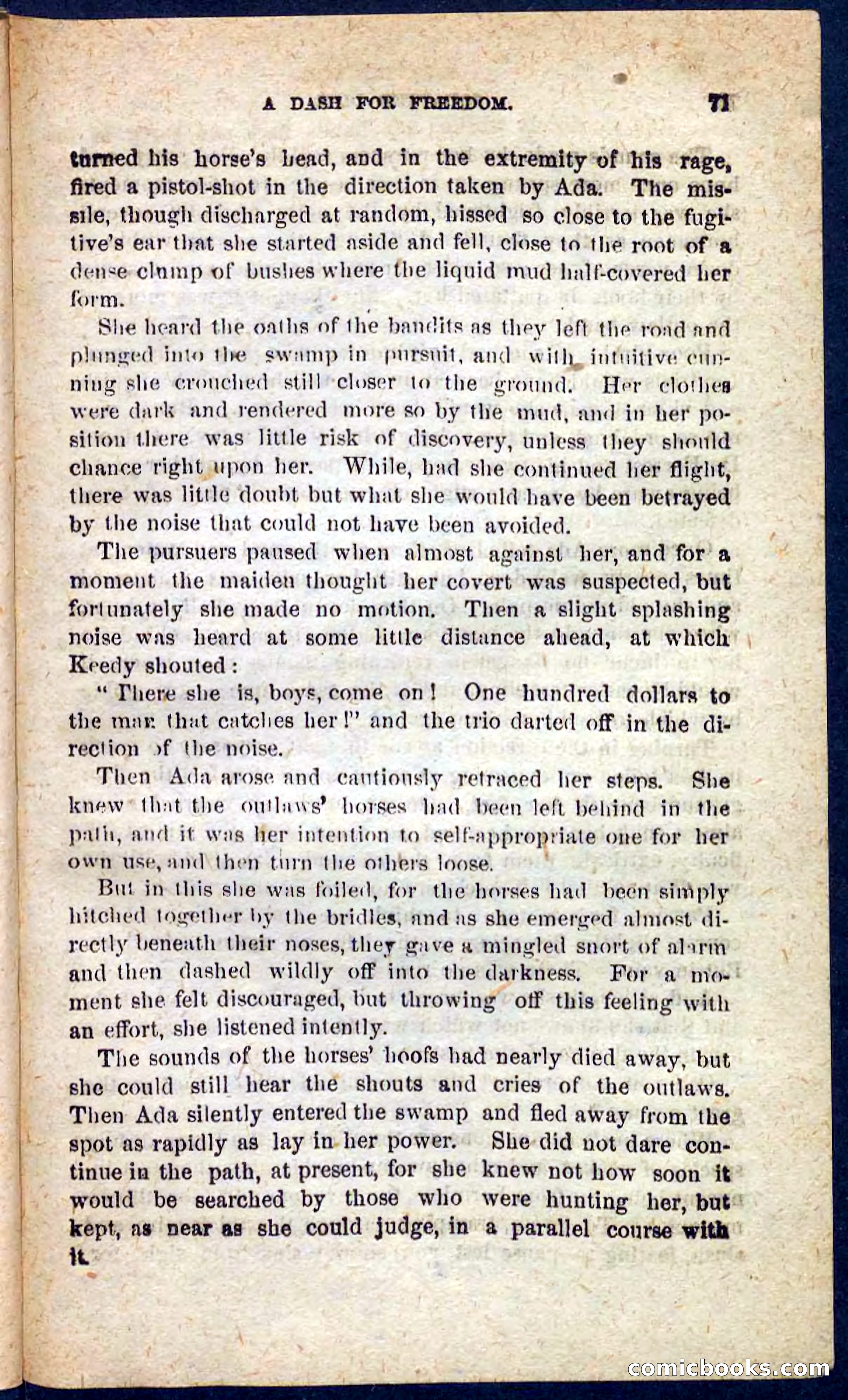 Beadle's Pocket Novels No. 128: Squatter Dick — page 67 of 100