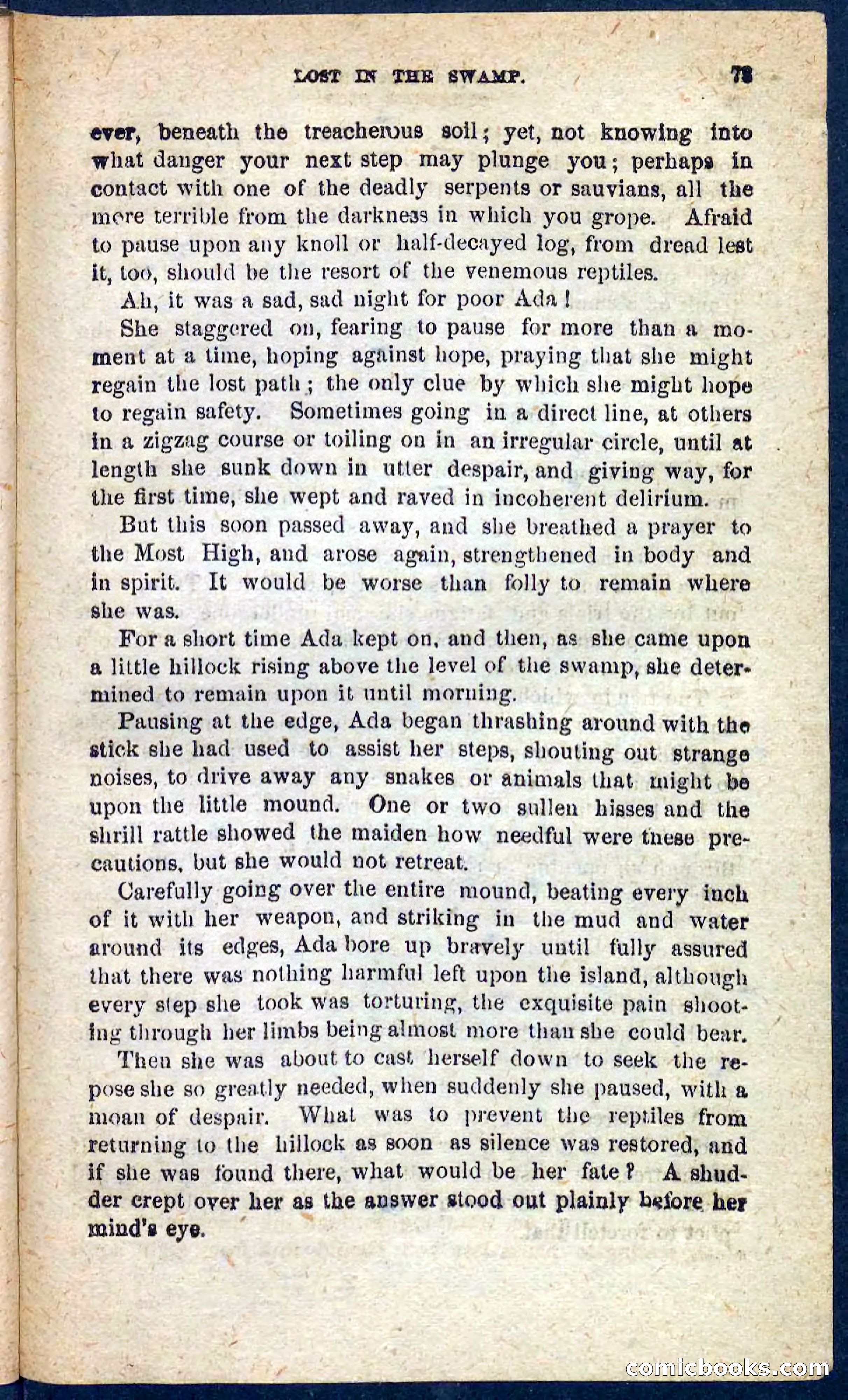 Beadle's Pocket Novels No. 128: Squatter Dick — page 69 of 100