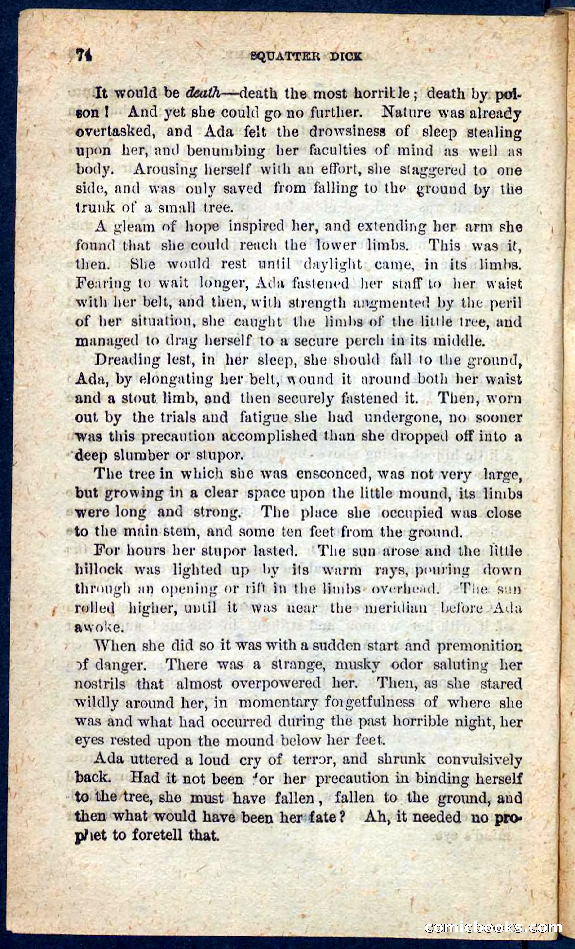 Beadle's Pocket Novels No. 128: Squatter Dick — page 70 of 100