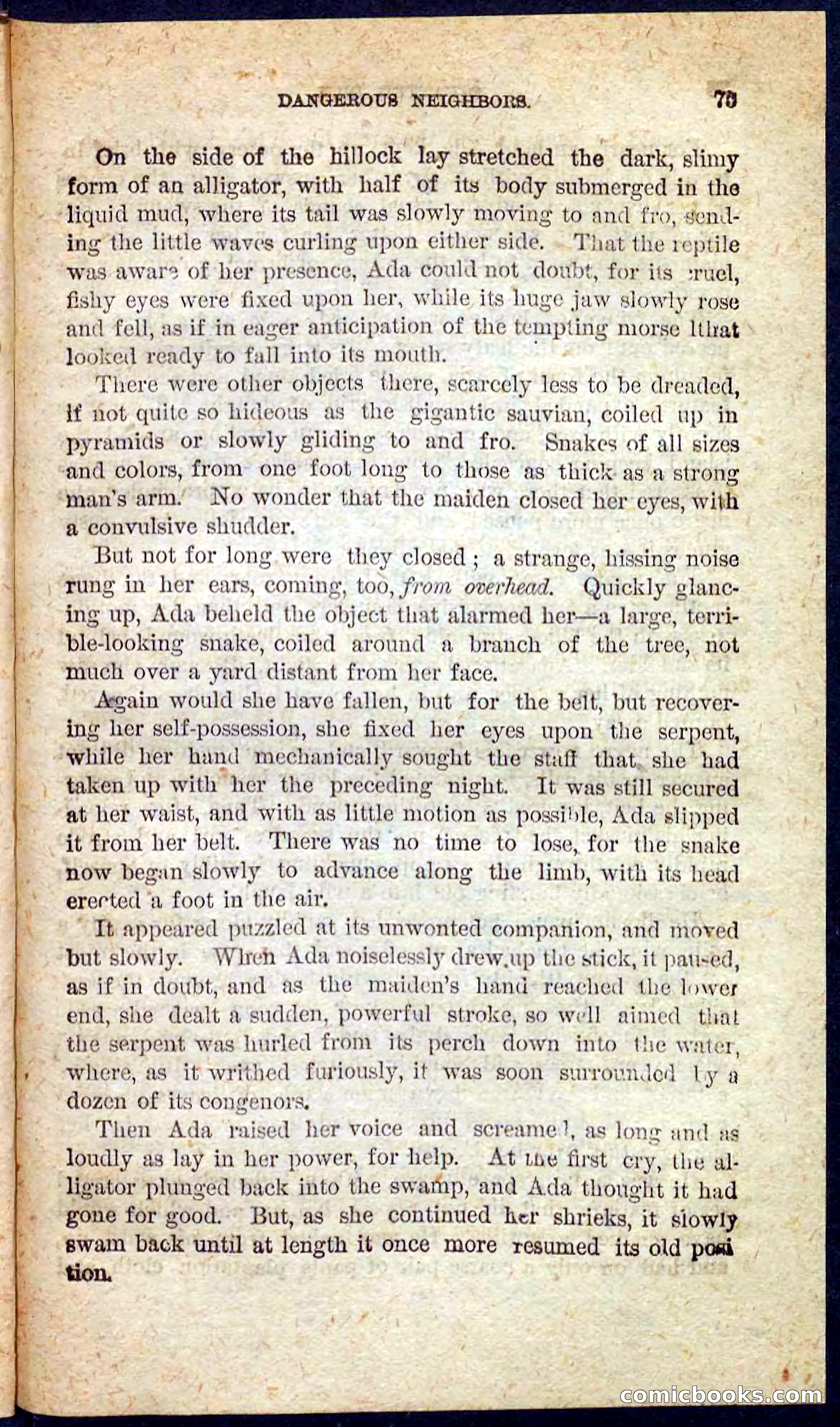 Beadle's Pocket Novels No. 128: Squatter Dick — page 71 of 100