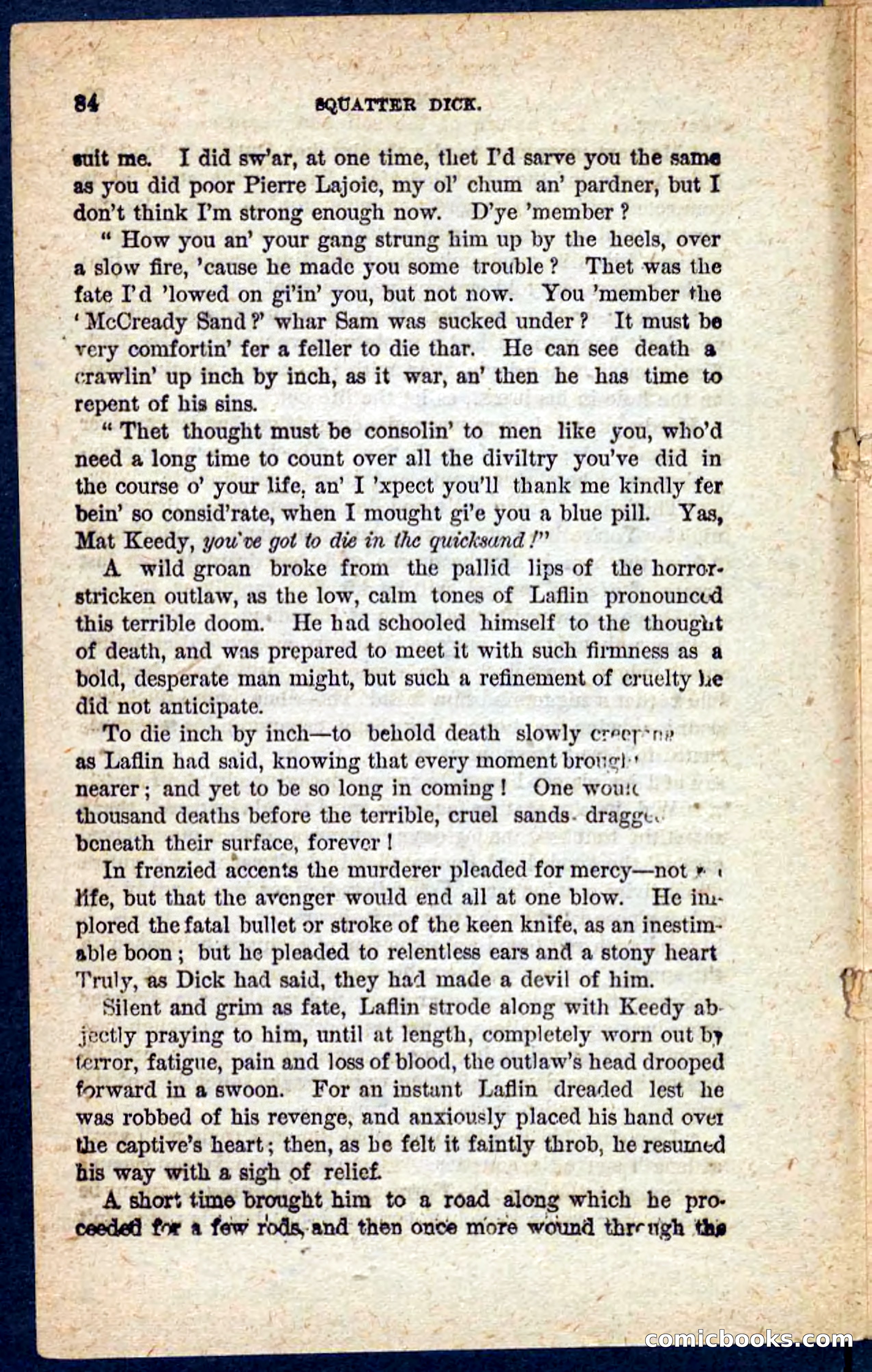 Beadle's Pocket Novels No. 128: Squatter Dick — page 80 of 100