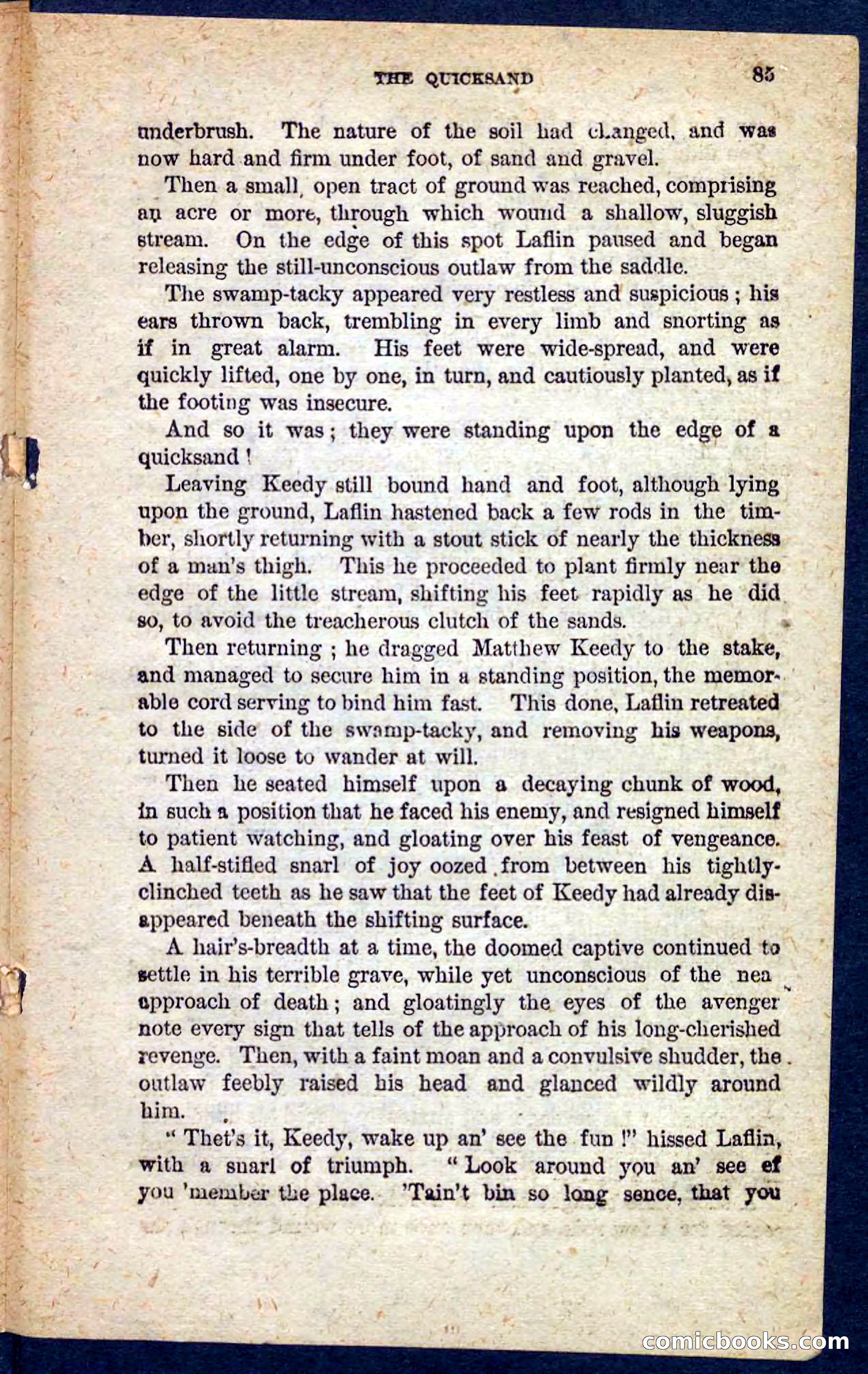 Beadle's Pocket Novels No. 128: Squatter Dick — page 81 of 100