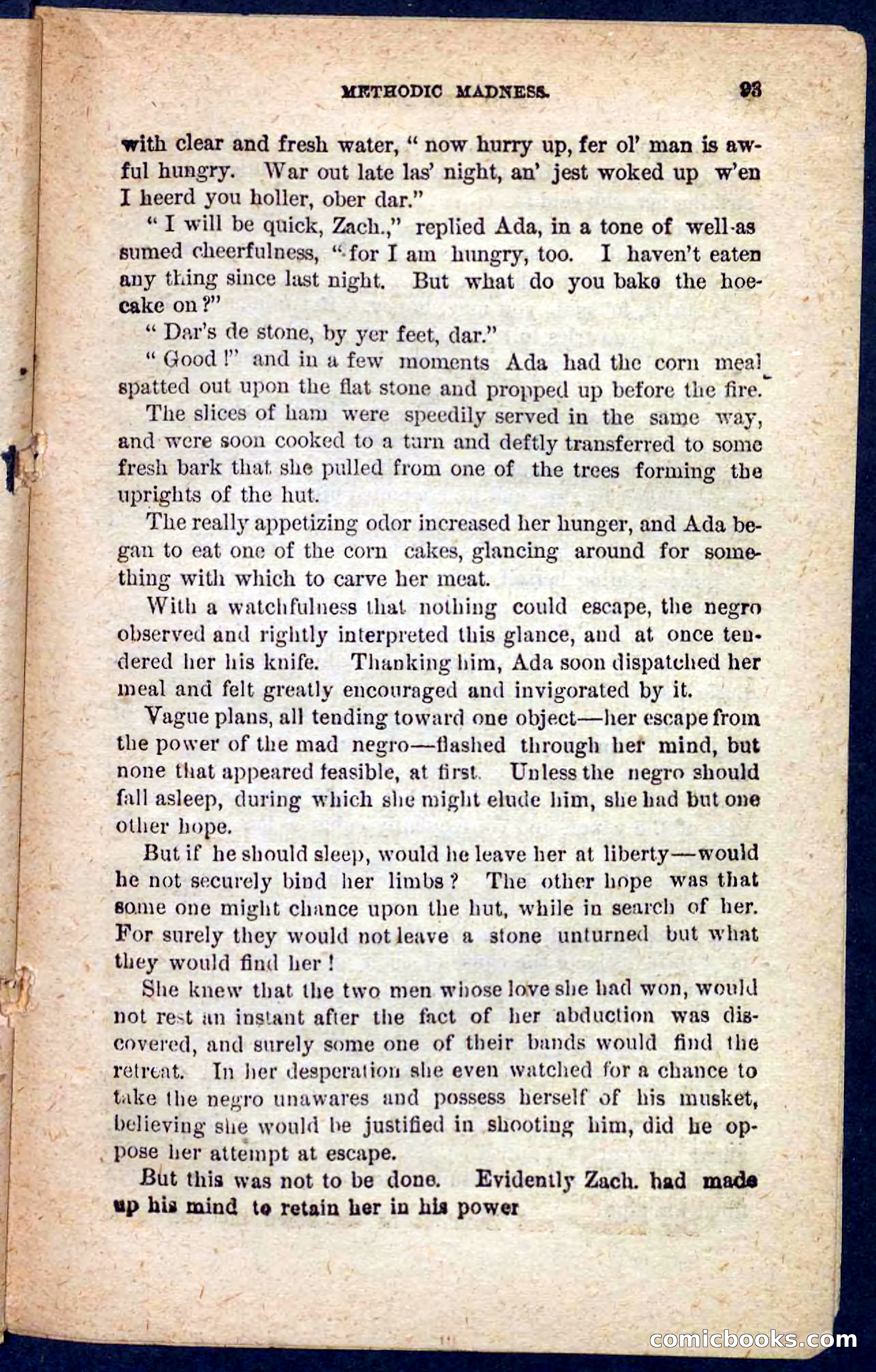 Beadle's Pocket Novels No. 128: Squatter Dick — page 89 of 100