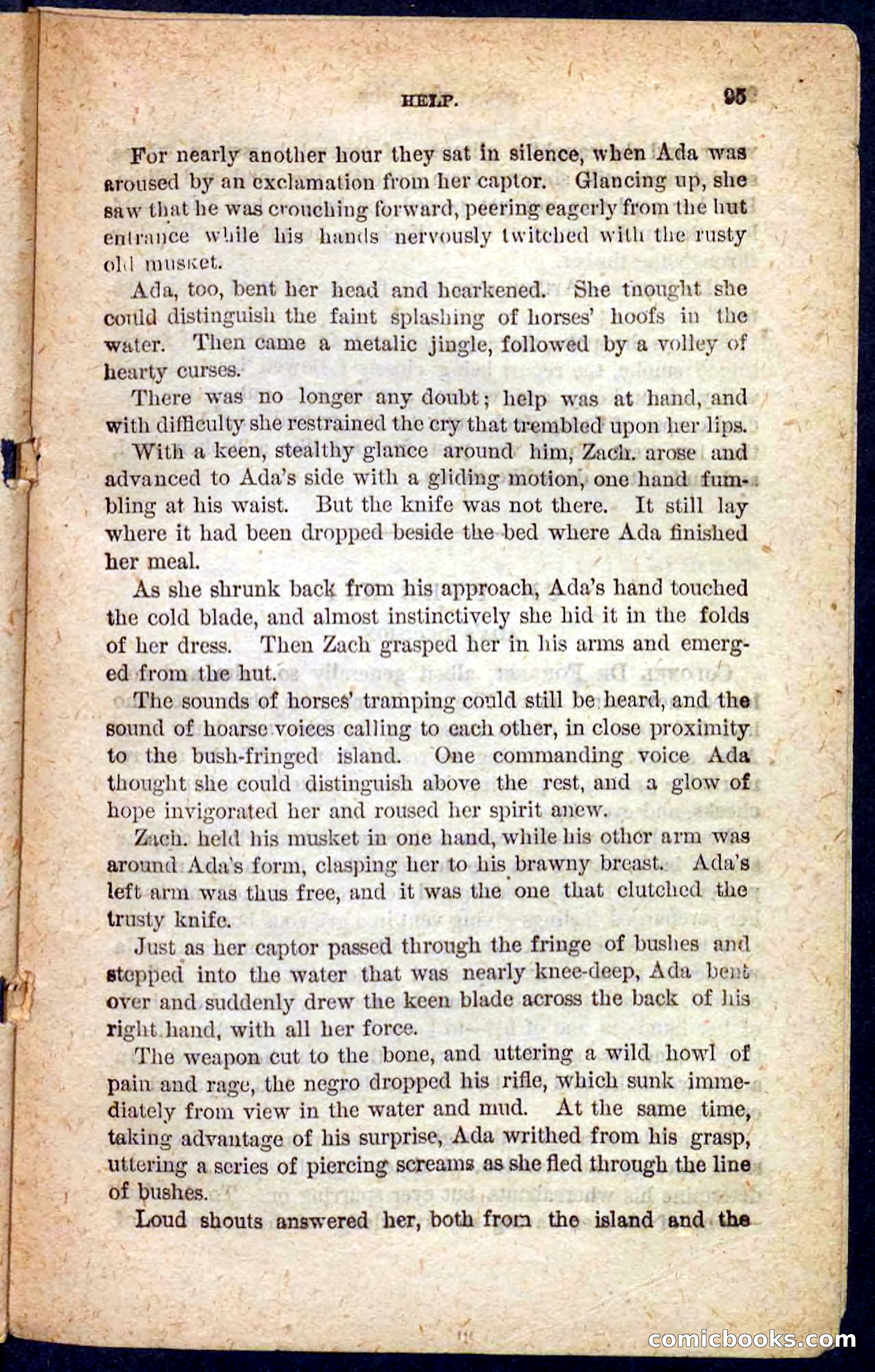 Beadle's Pocket Novels No. 128: Squatter Dick — page 91 of 100