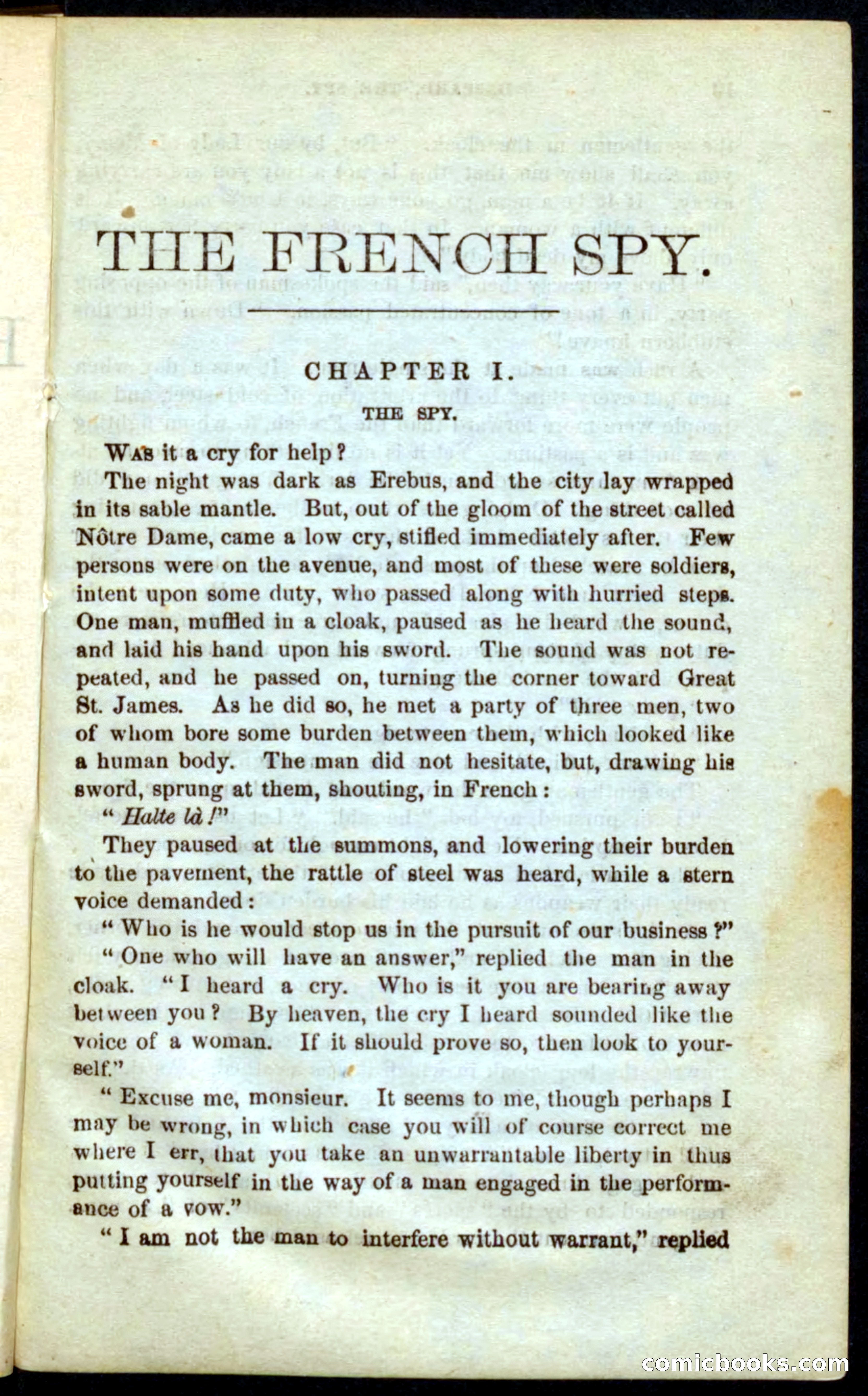 The French Spy — page 5 of 100