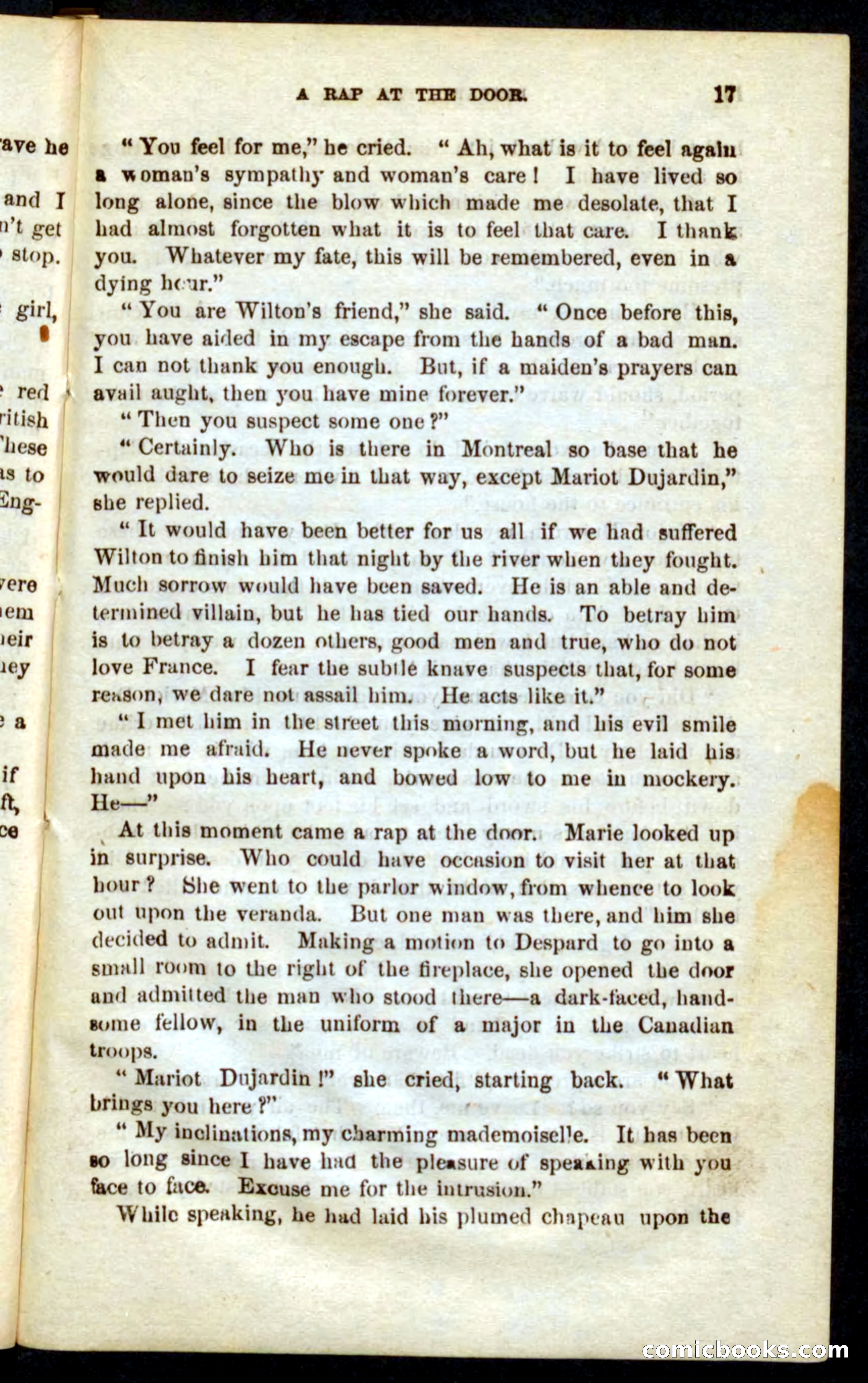 The French Spy — page 13 of 100