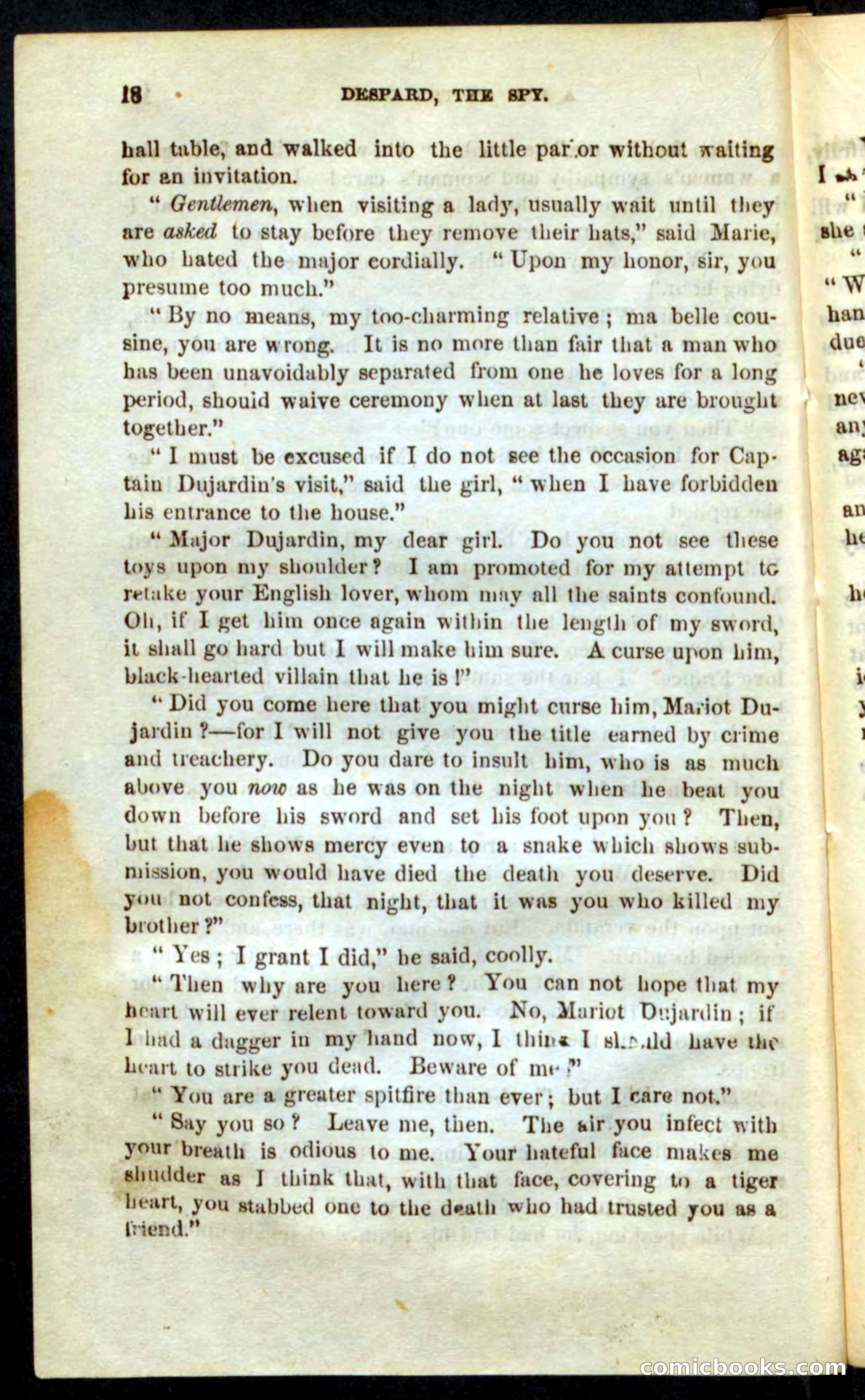 The French Spy — page 14 of 100