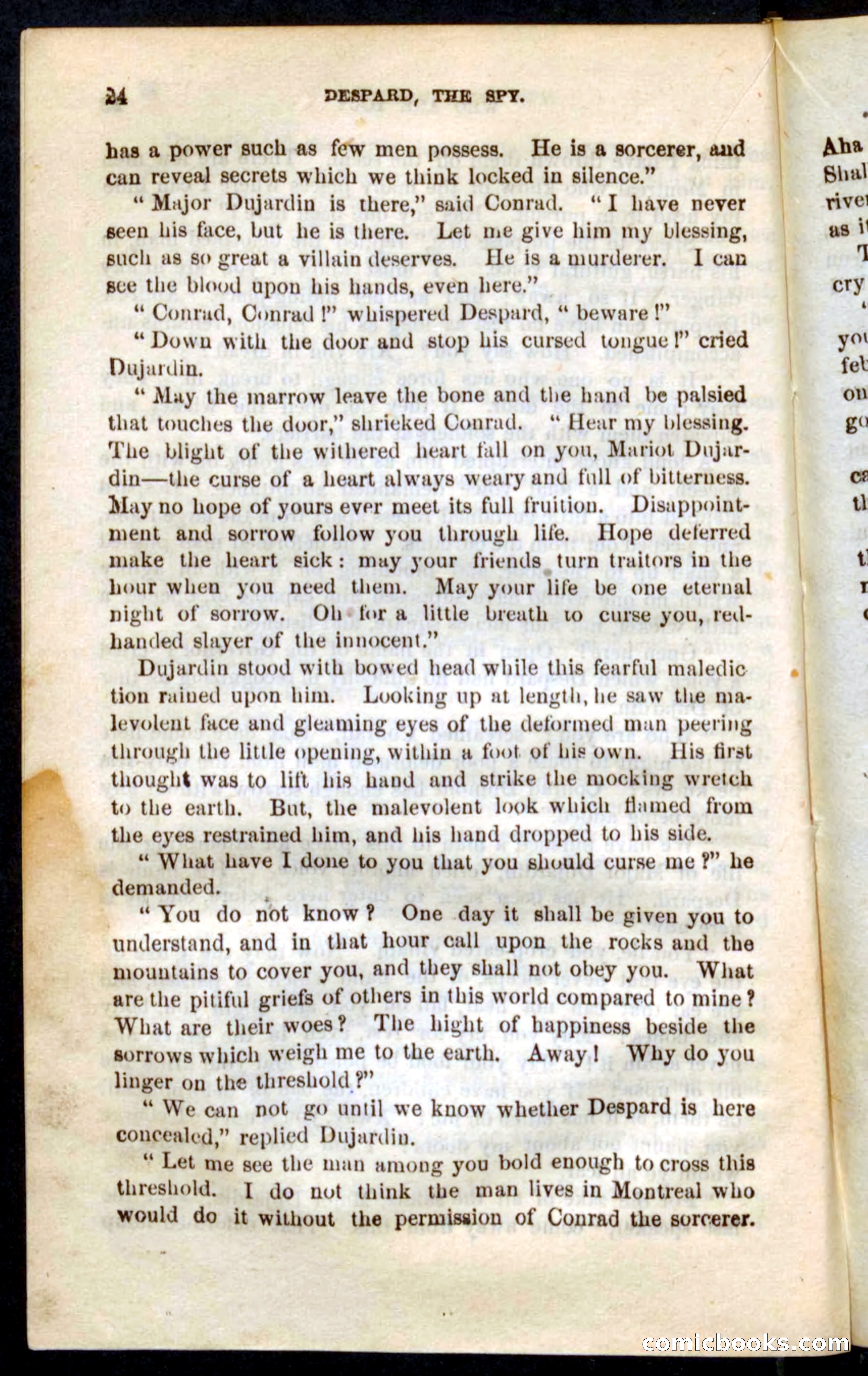 The French Spy — page 20 of 100