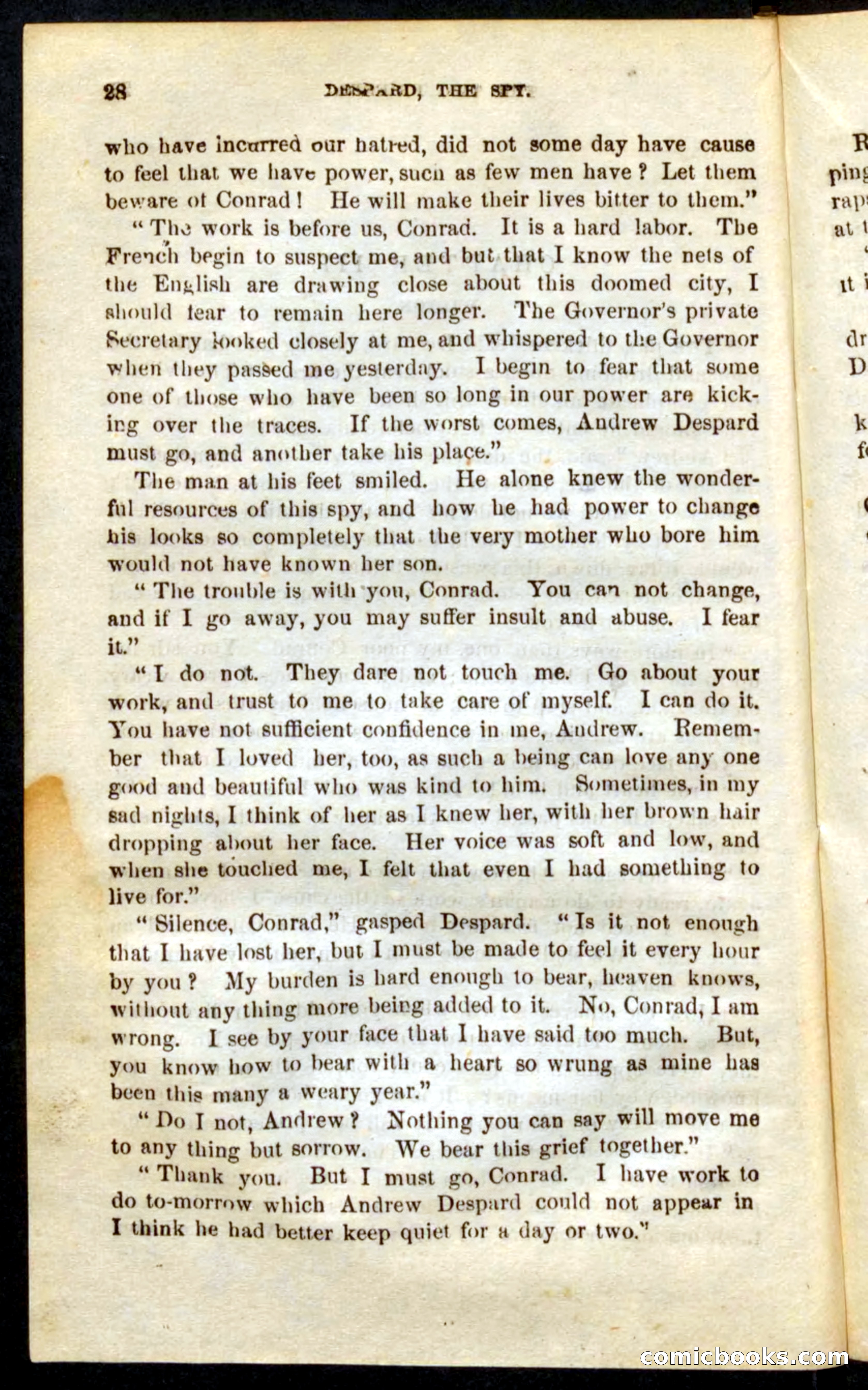 The French Spy — page 24 of 100